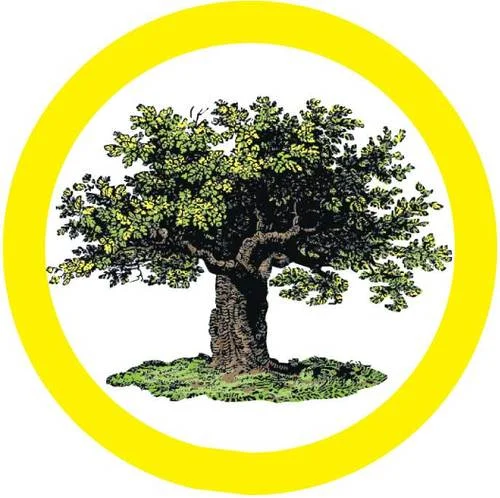 mother-earth-icon.jpg