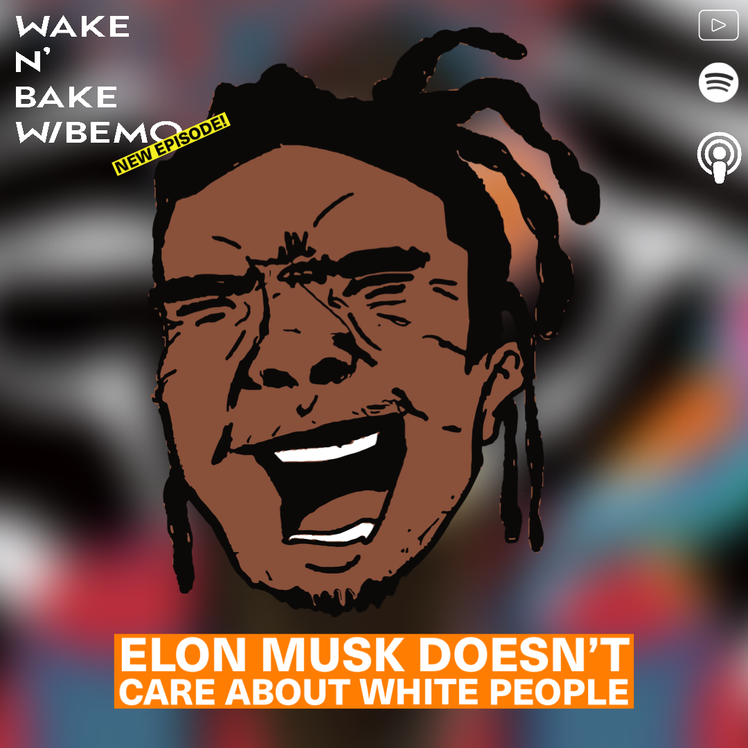 Elon Musk Doesn't Care About White People