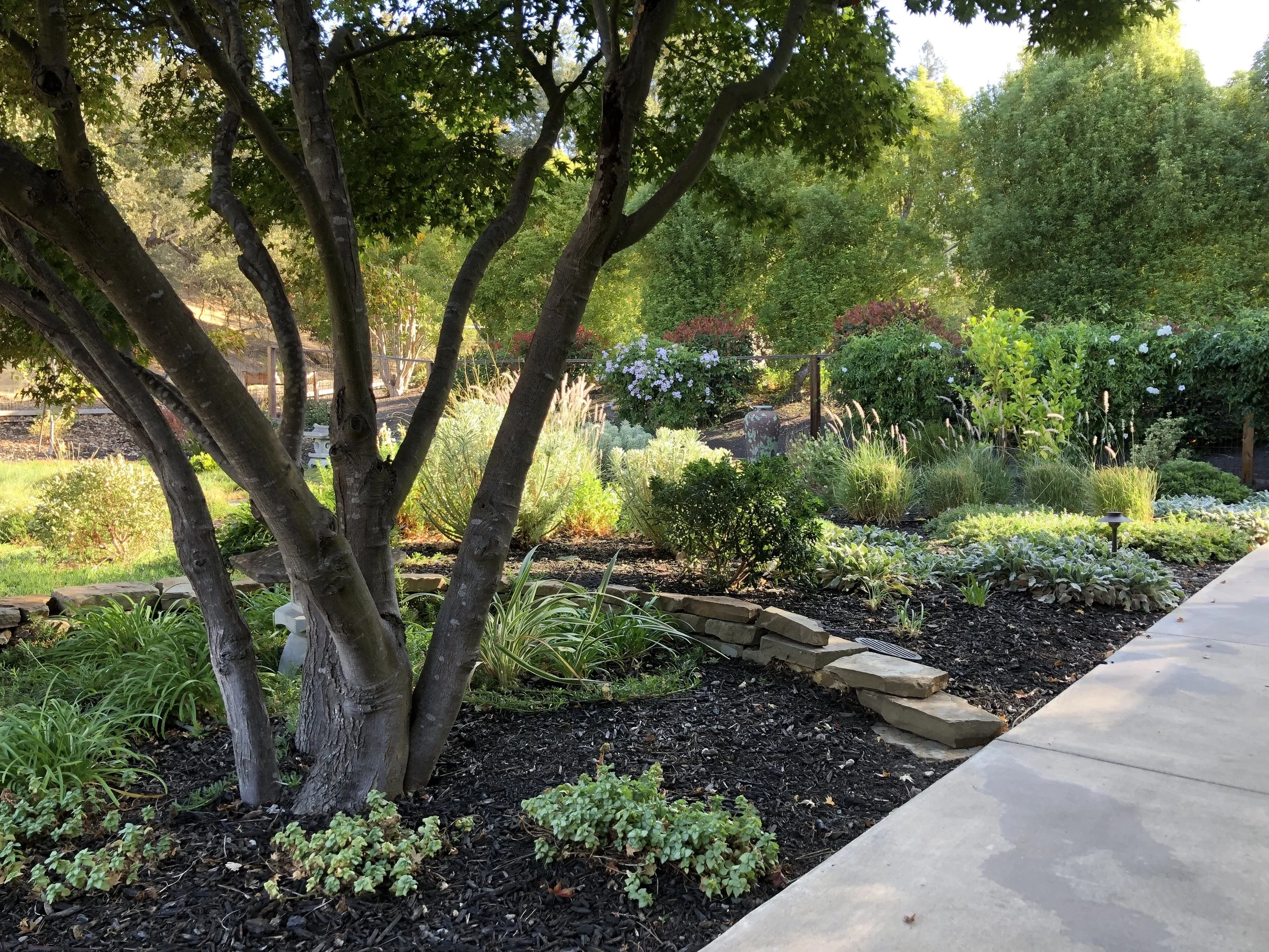 Reed Landscape Studios