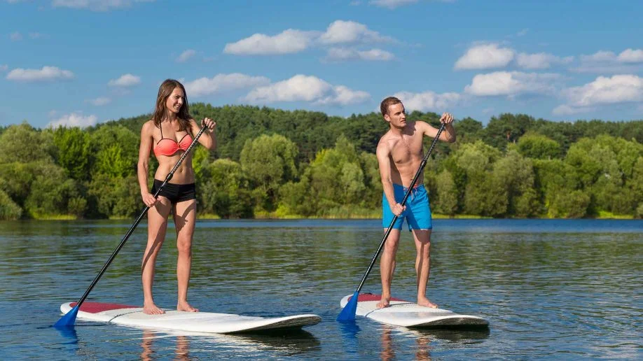 Paddle Boards • $49