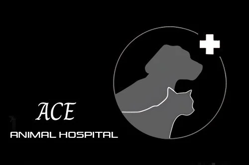 ACE Animal Hospital