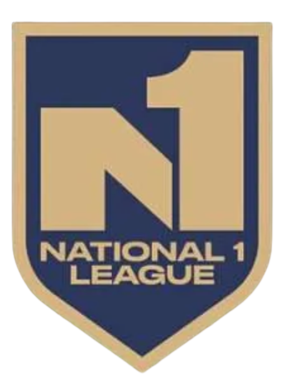 N1L Logo.png