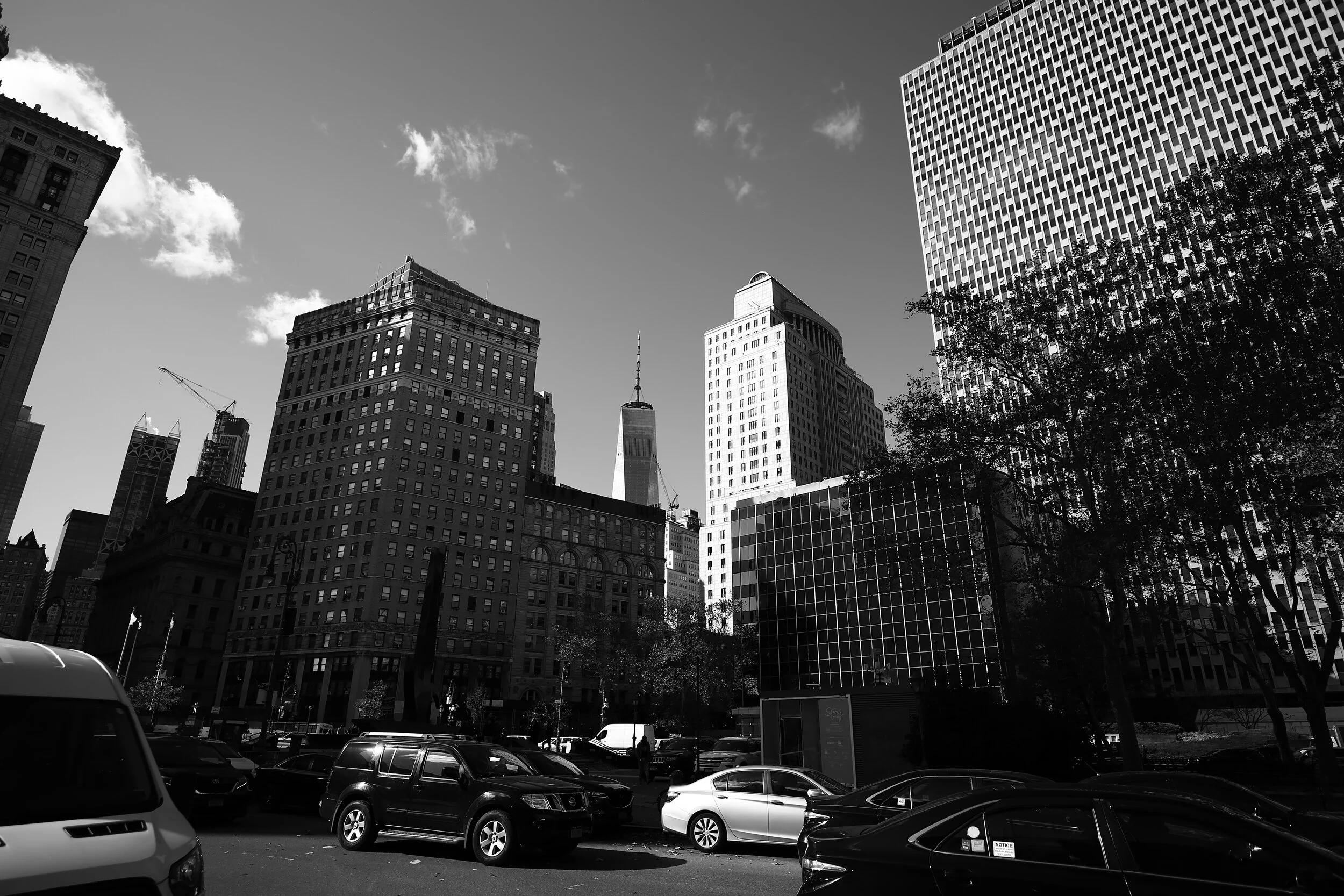 IMG_9909.JPG