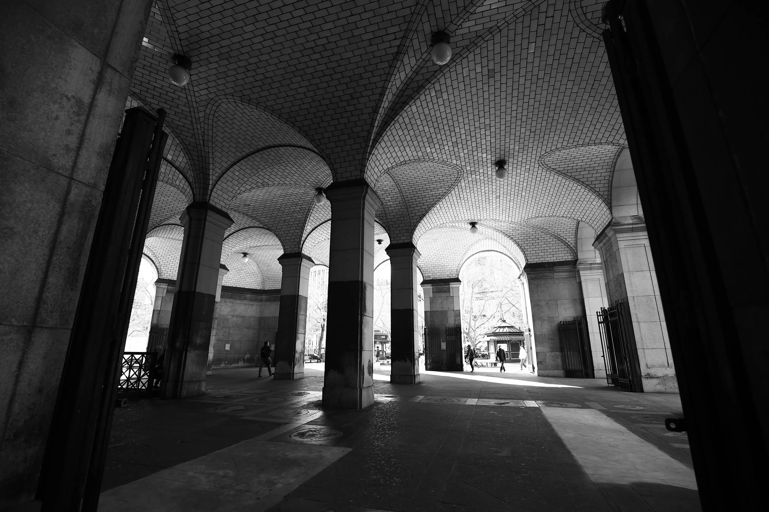 IMG_9919.JPG