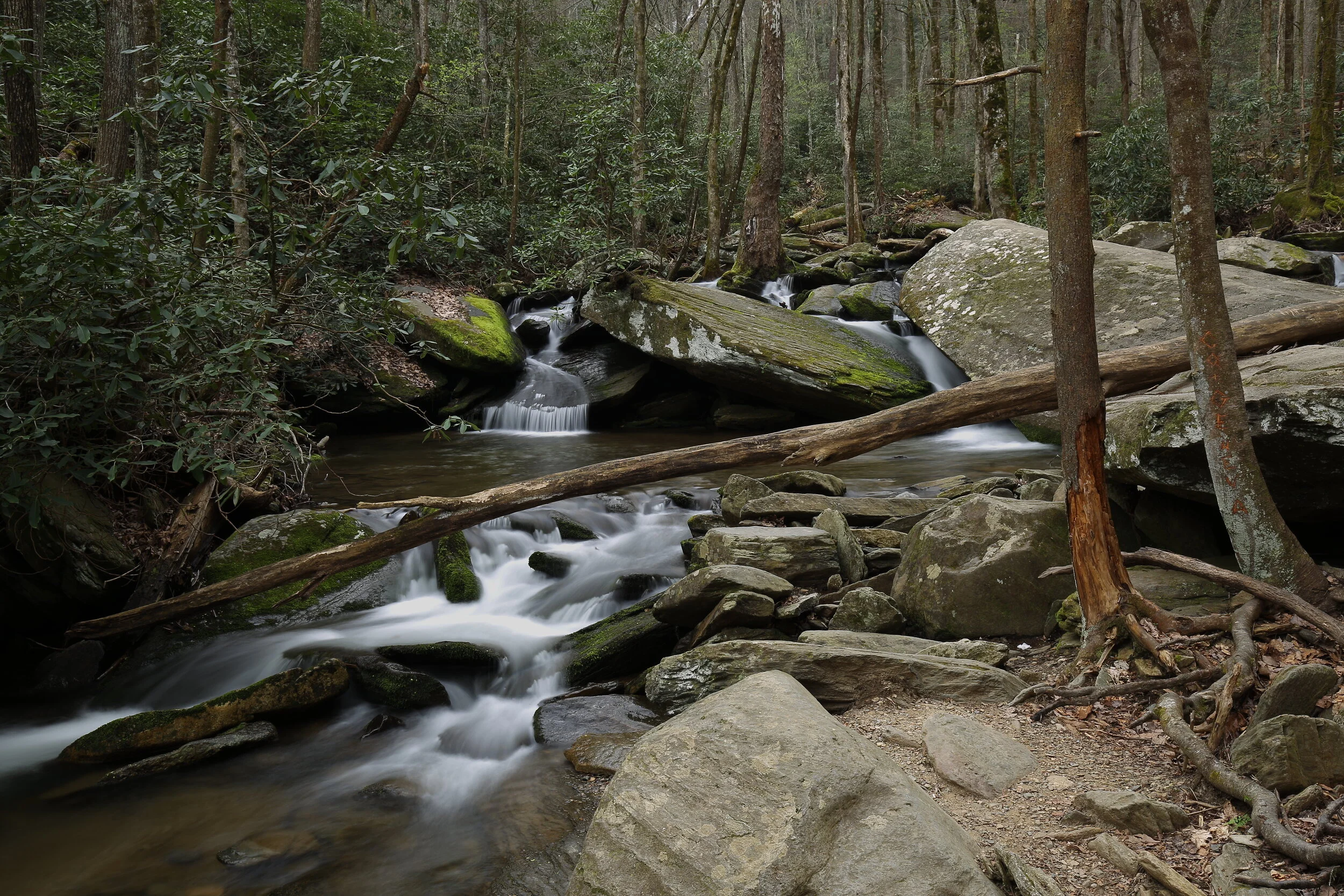 Landscapes — Darius Ollison Photography