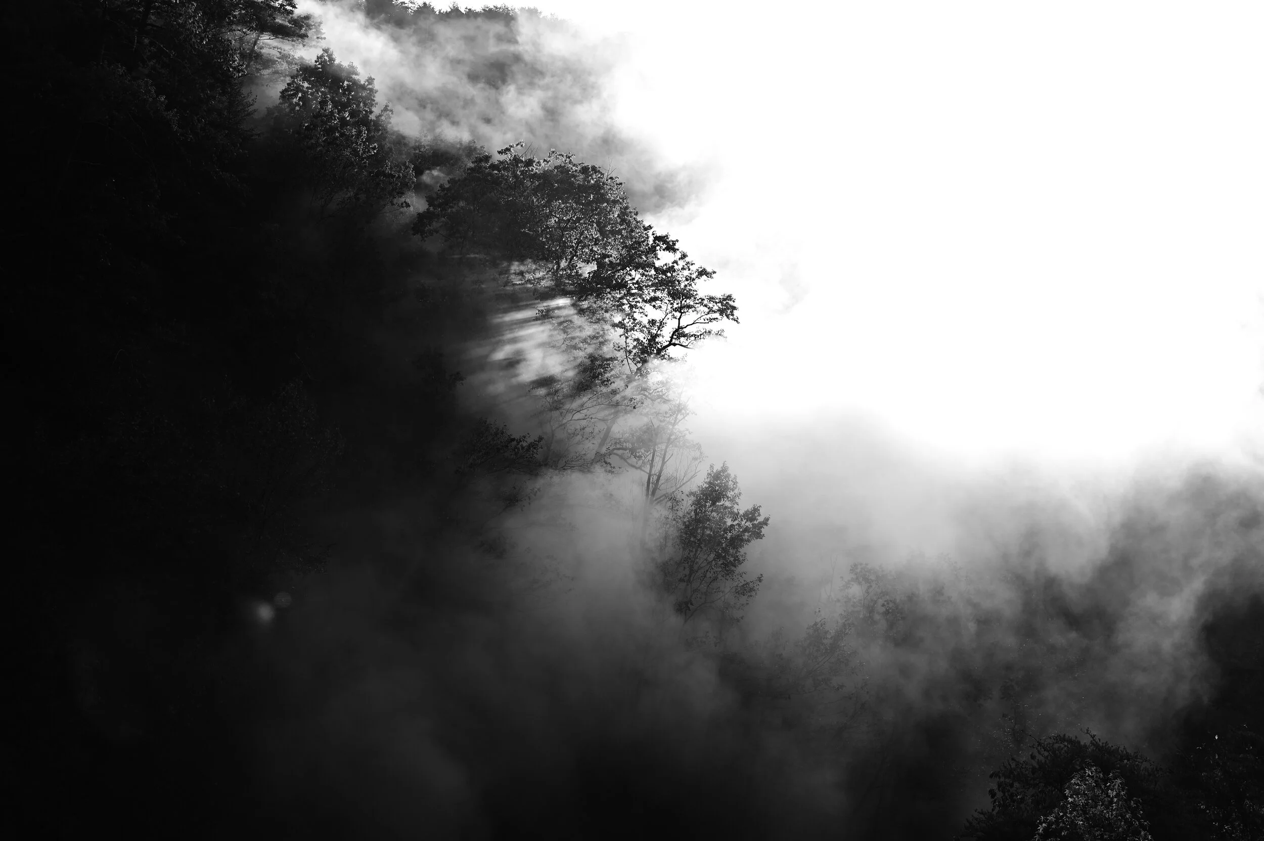 DSC_0125.JPG