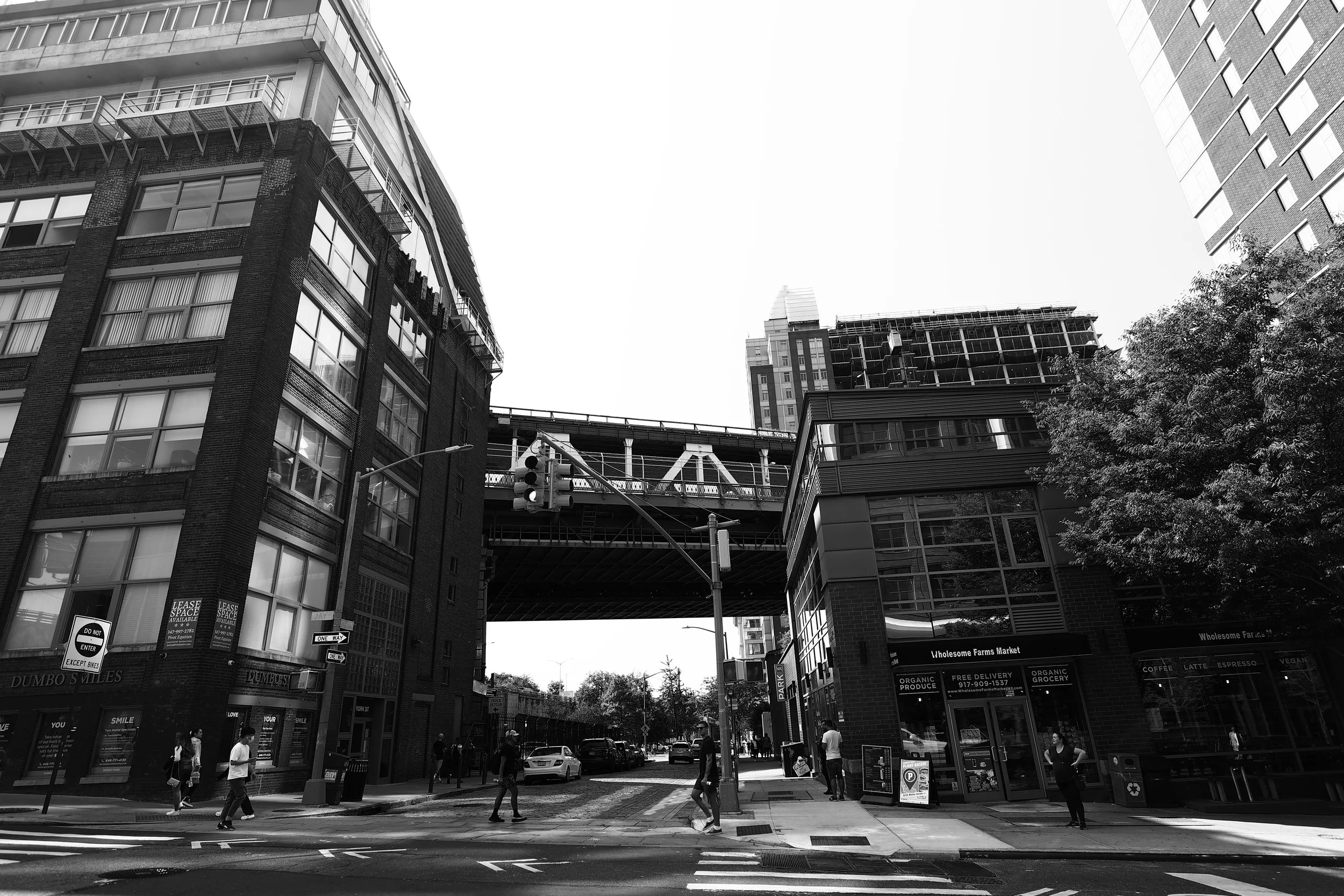 DAO_1205.JPG