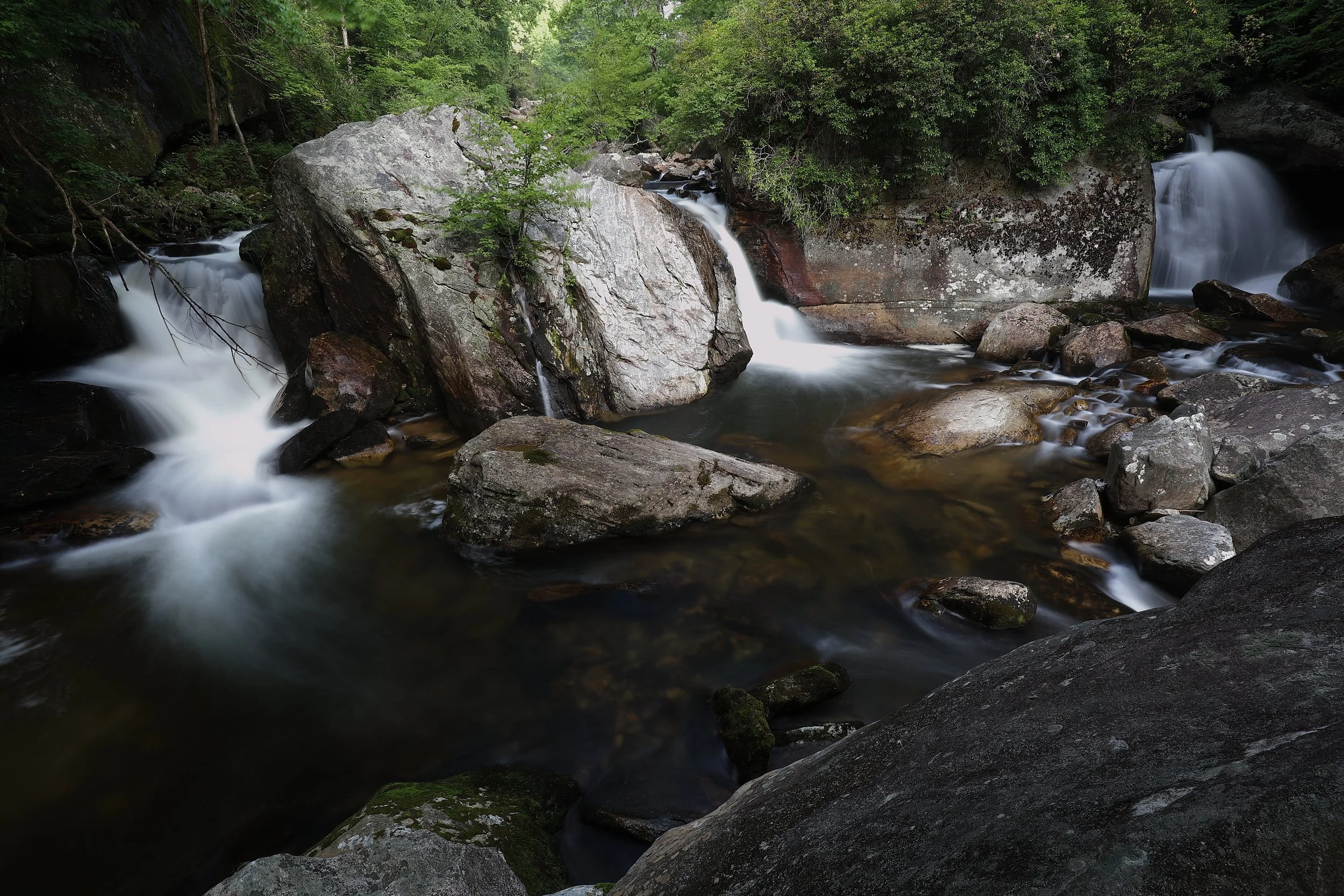 DAO_0356.JPG