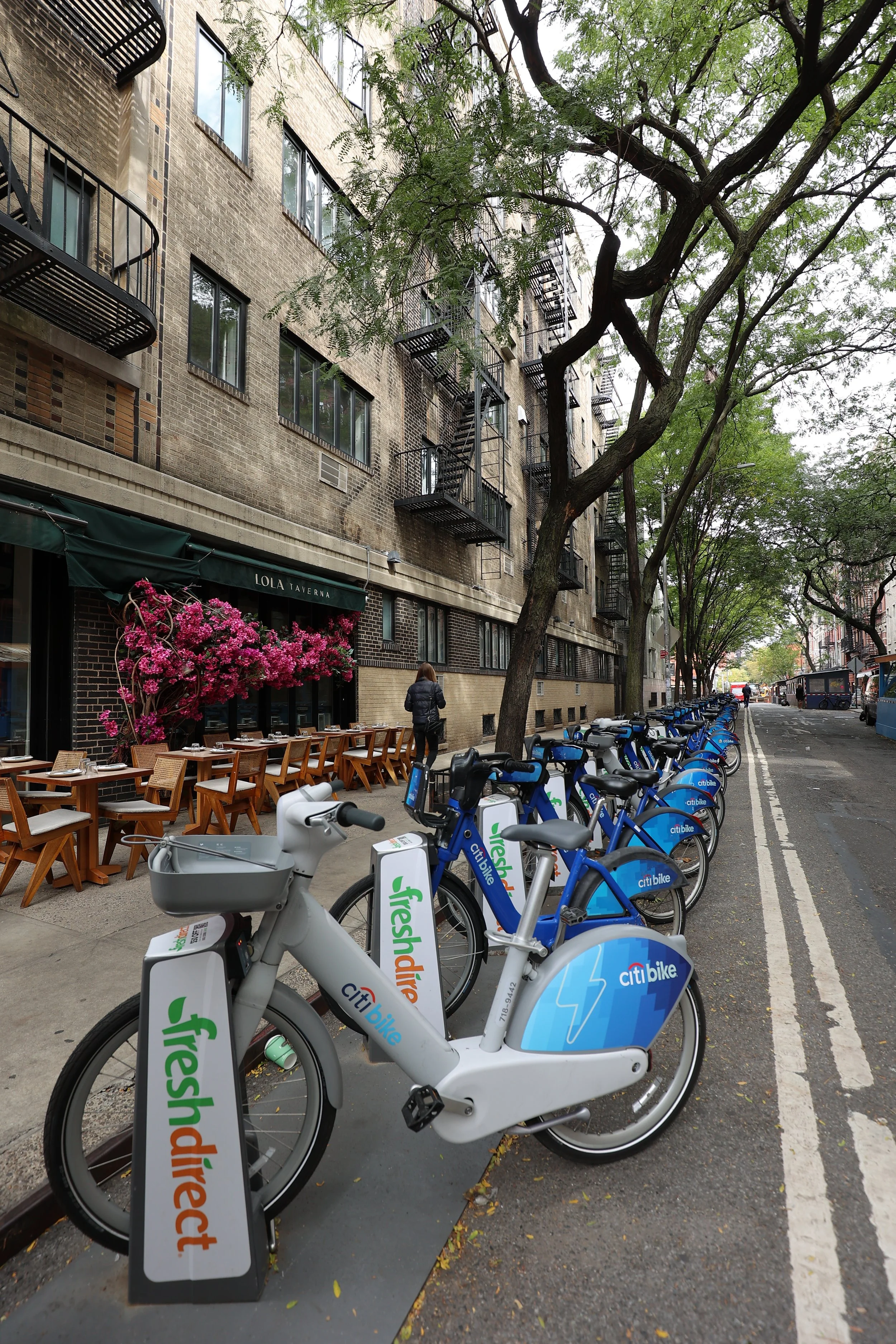 DAO_2870.JPG