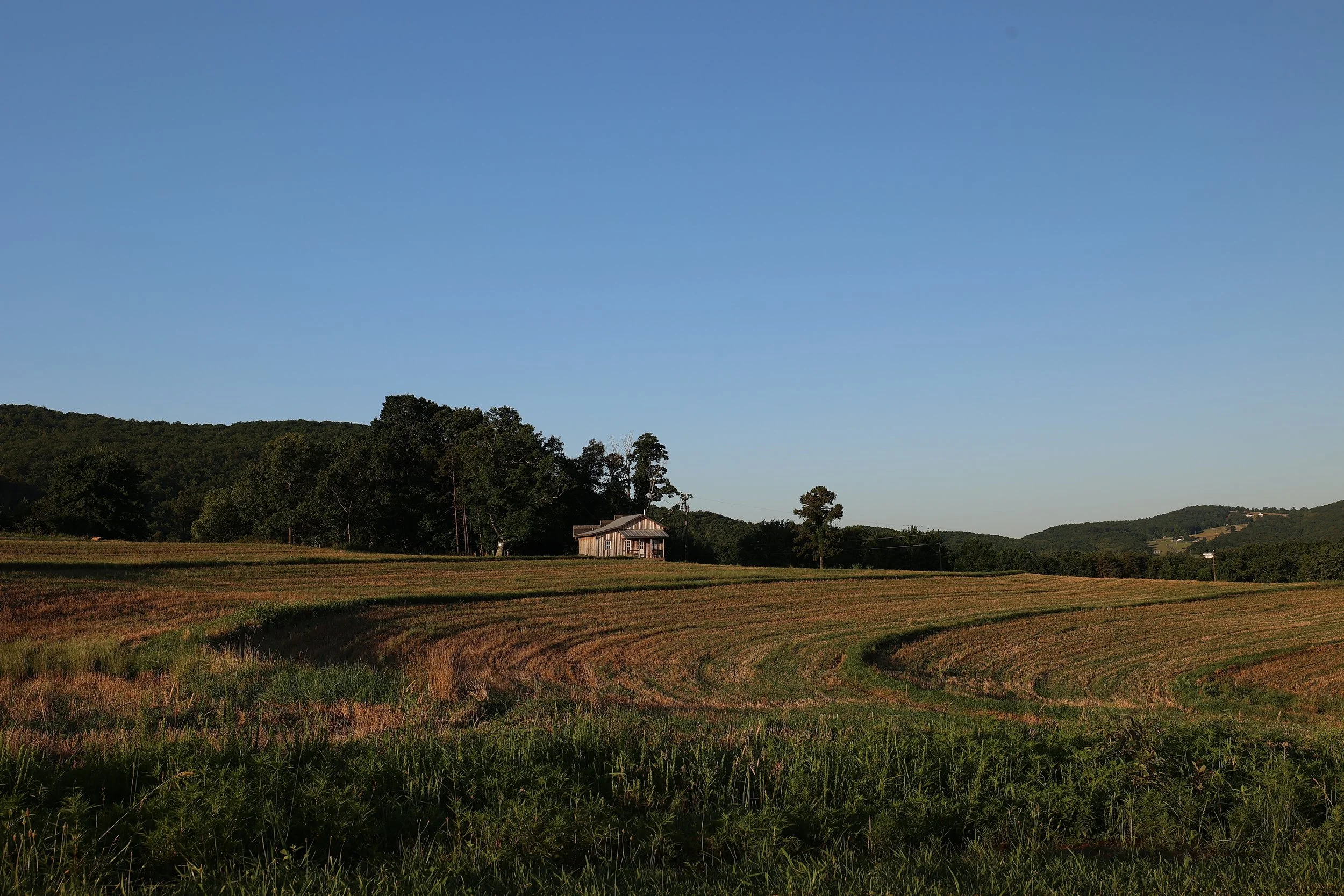 DAO_9525.JPG