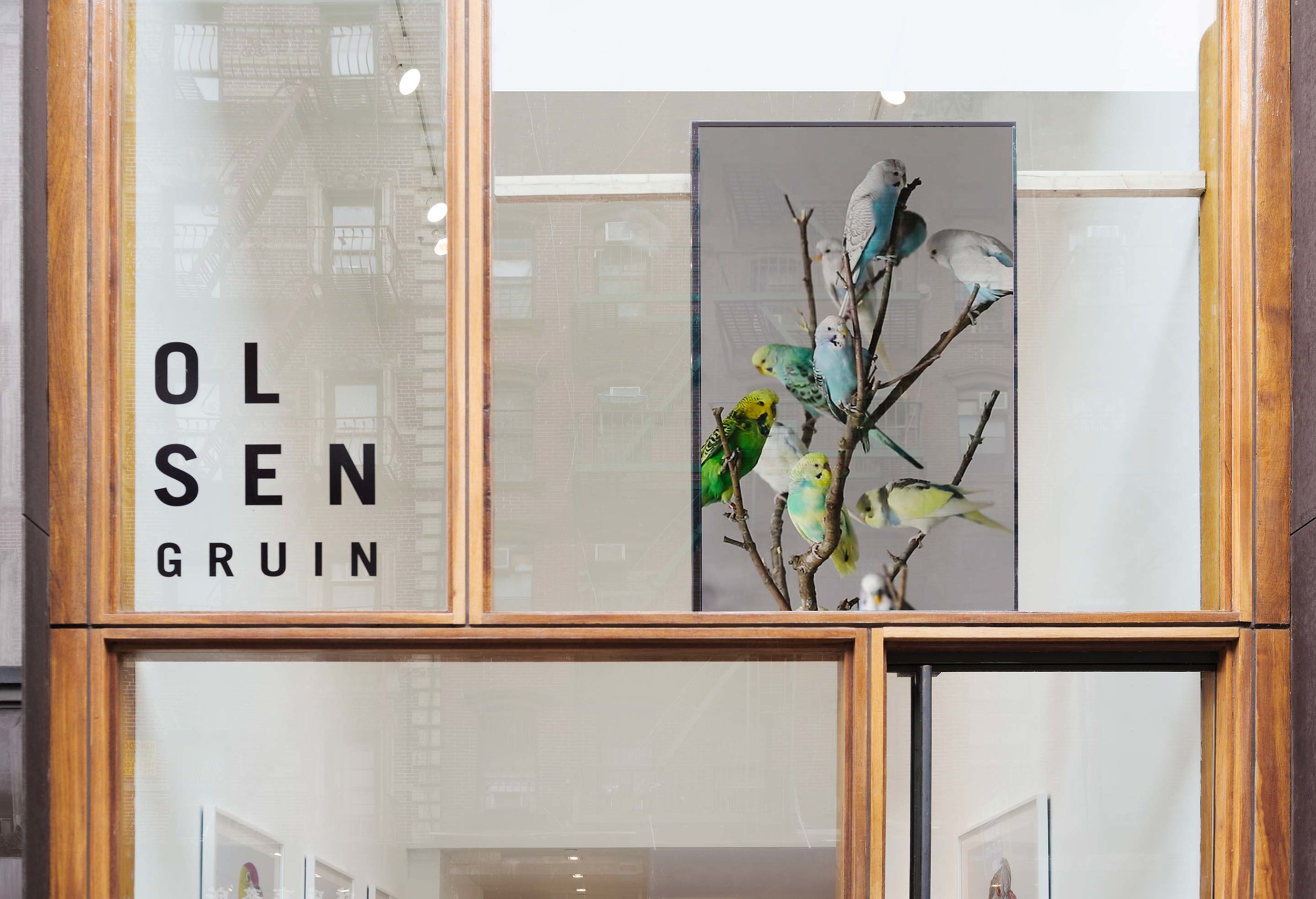 Installation view, Ornithurae, 2017, Olsen Gruin Gallery, New York