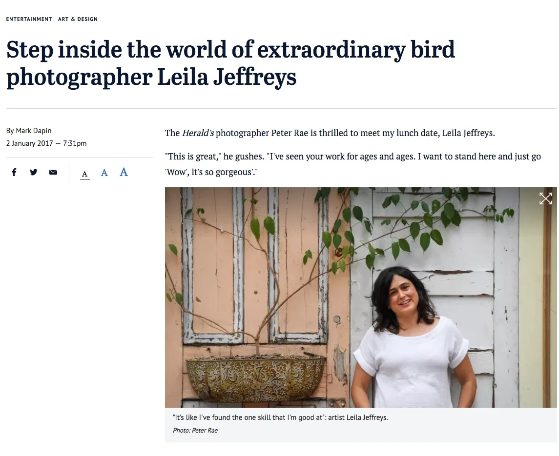 Step inside the world of extraordinary bird photographer Leila Jeffreys