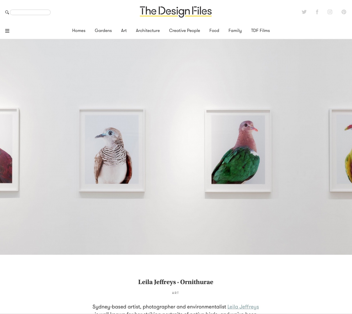 Leila Jeffreys · Ornithurae