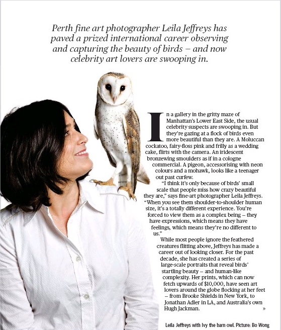 Flights of Fancy - Leila Jeffreys and her feathered friends