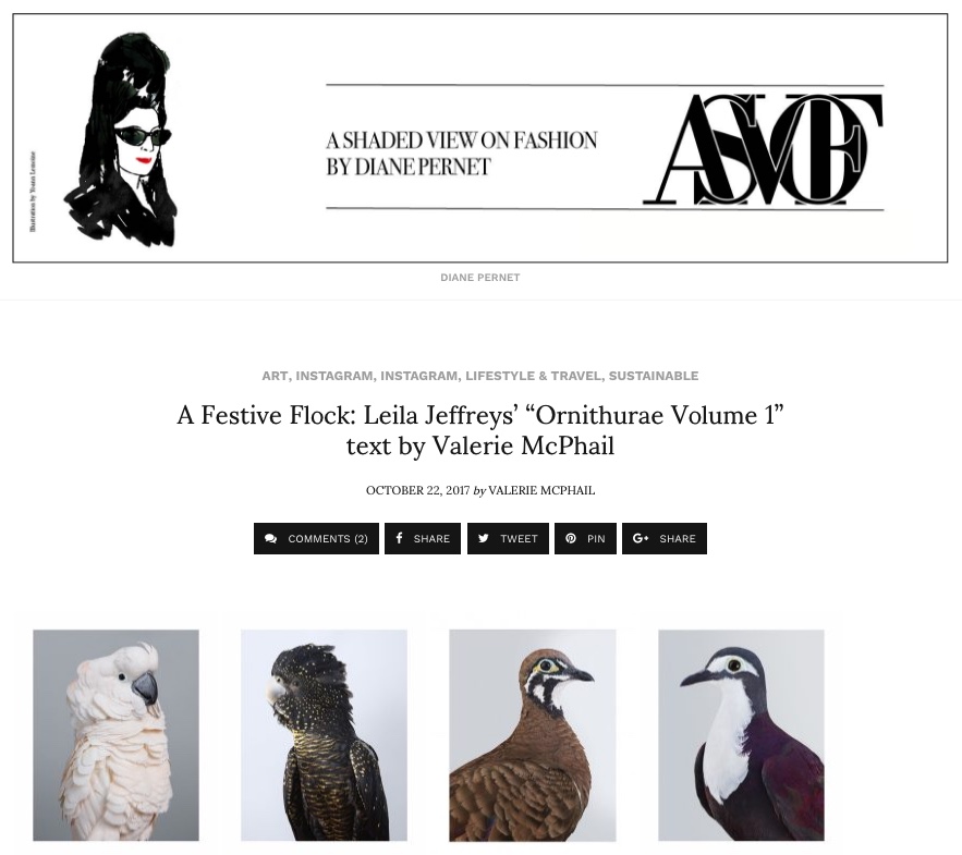 A Festive Flock: Leila Jeffreys' Ornithurae