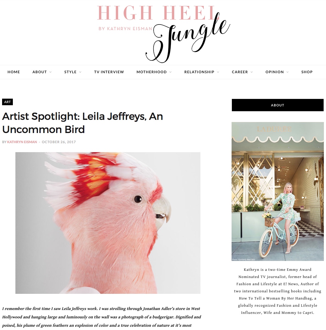 Artist Spotlight: Leila Jeffreys, An Uncommon Bird