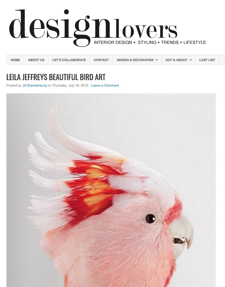 Leila Jeffreys Beautiful Bird Art