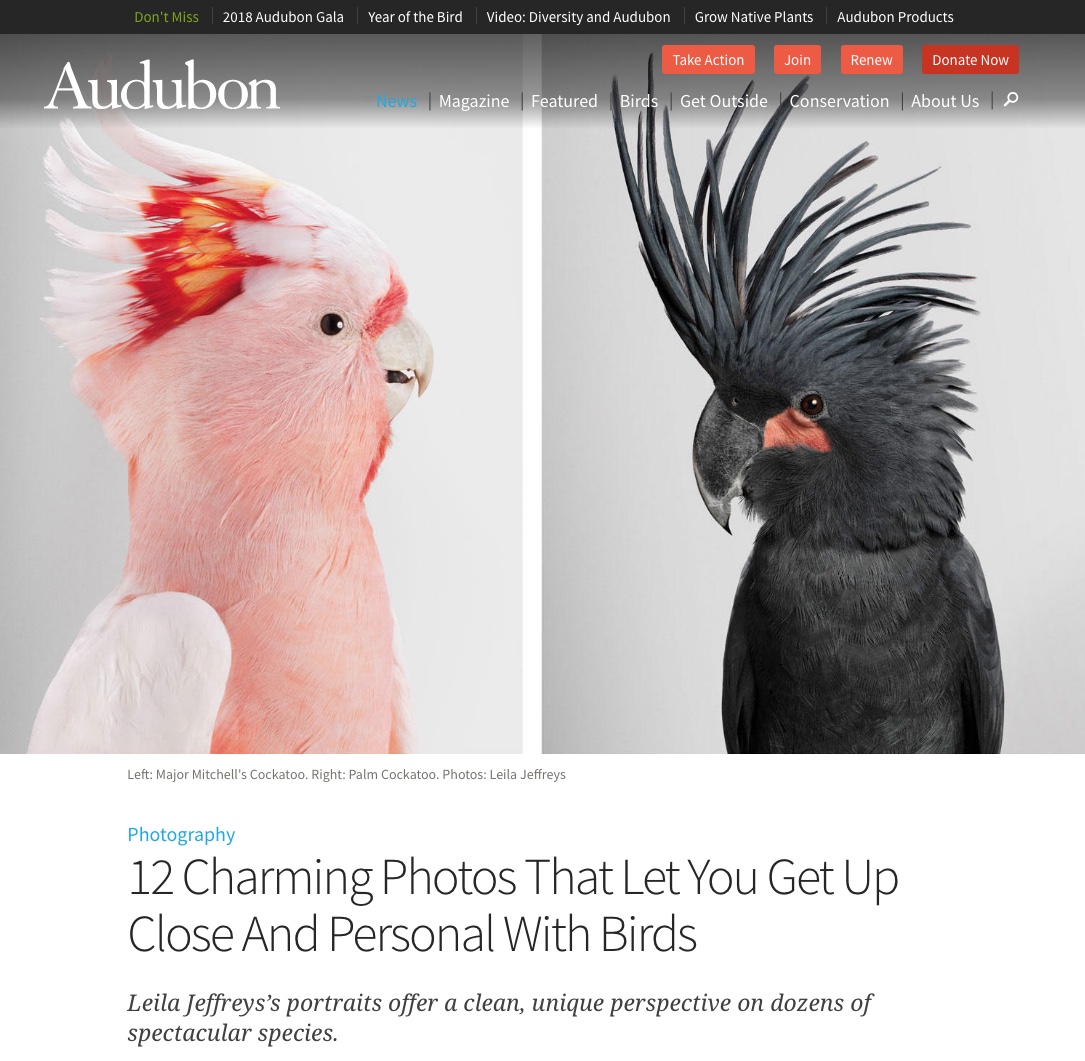 12 Charming Photos That Let You Get Up Close And Personal With Birds