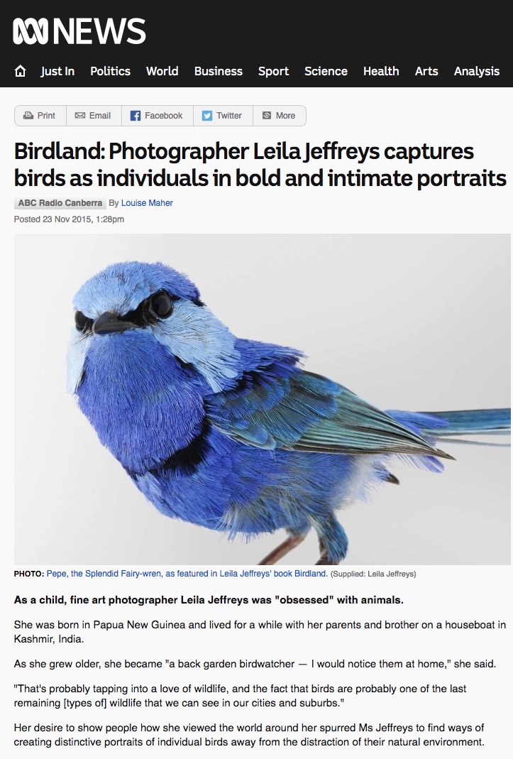 Birdland: Photographer Leila Jeffreys captures birds as individuals in bold and intimate portraits