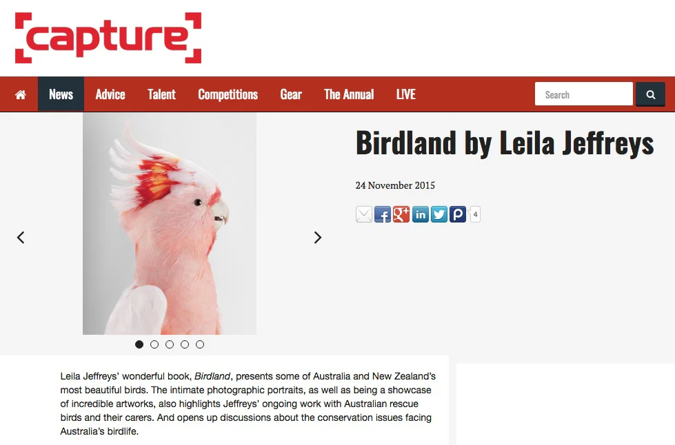 Birdland by Leila Jeffreys