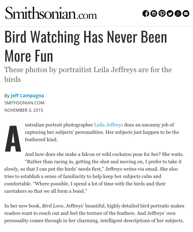 Bird Watching Has Never Been So Much Fun