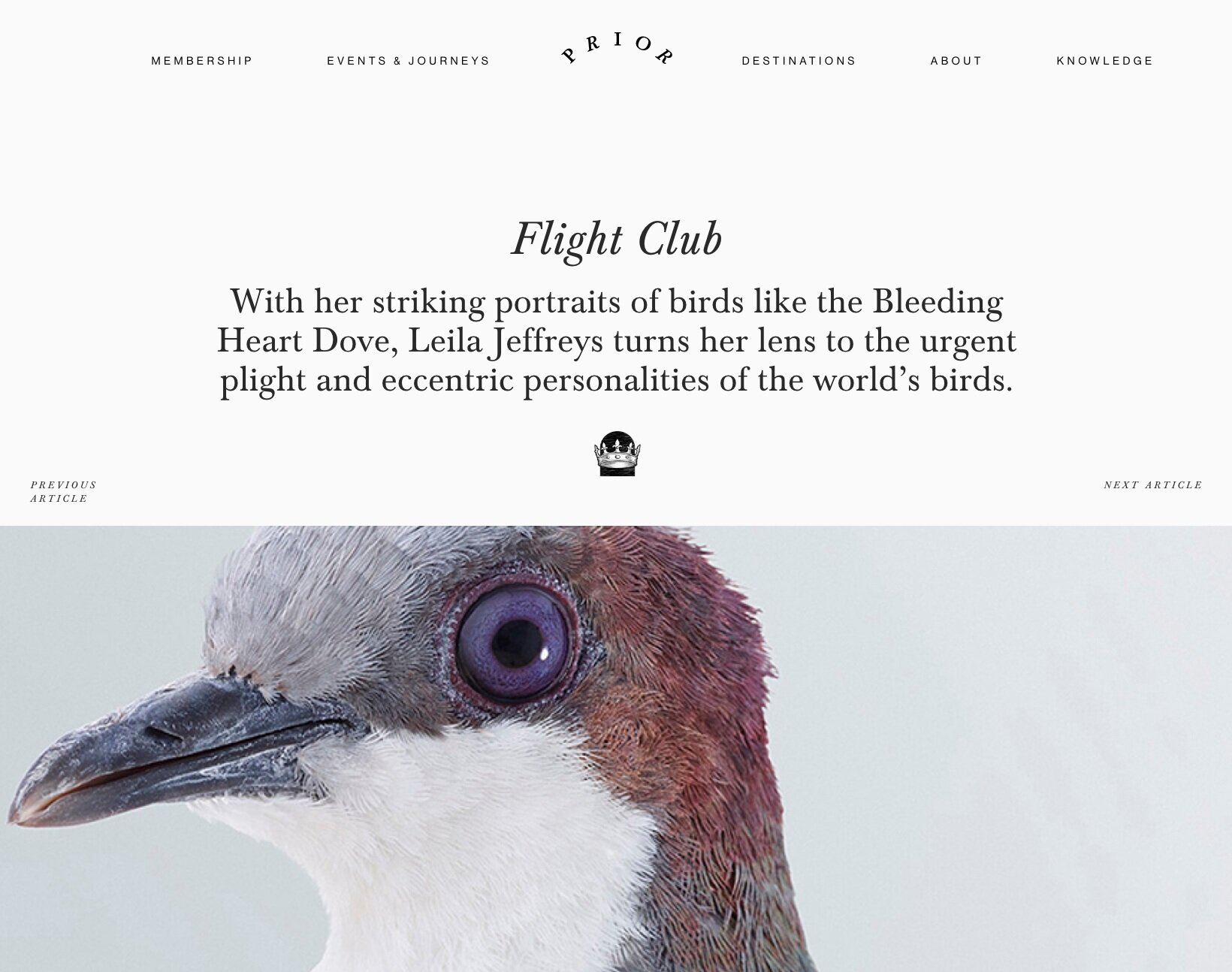 Flight Club