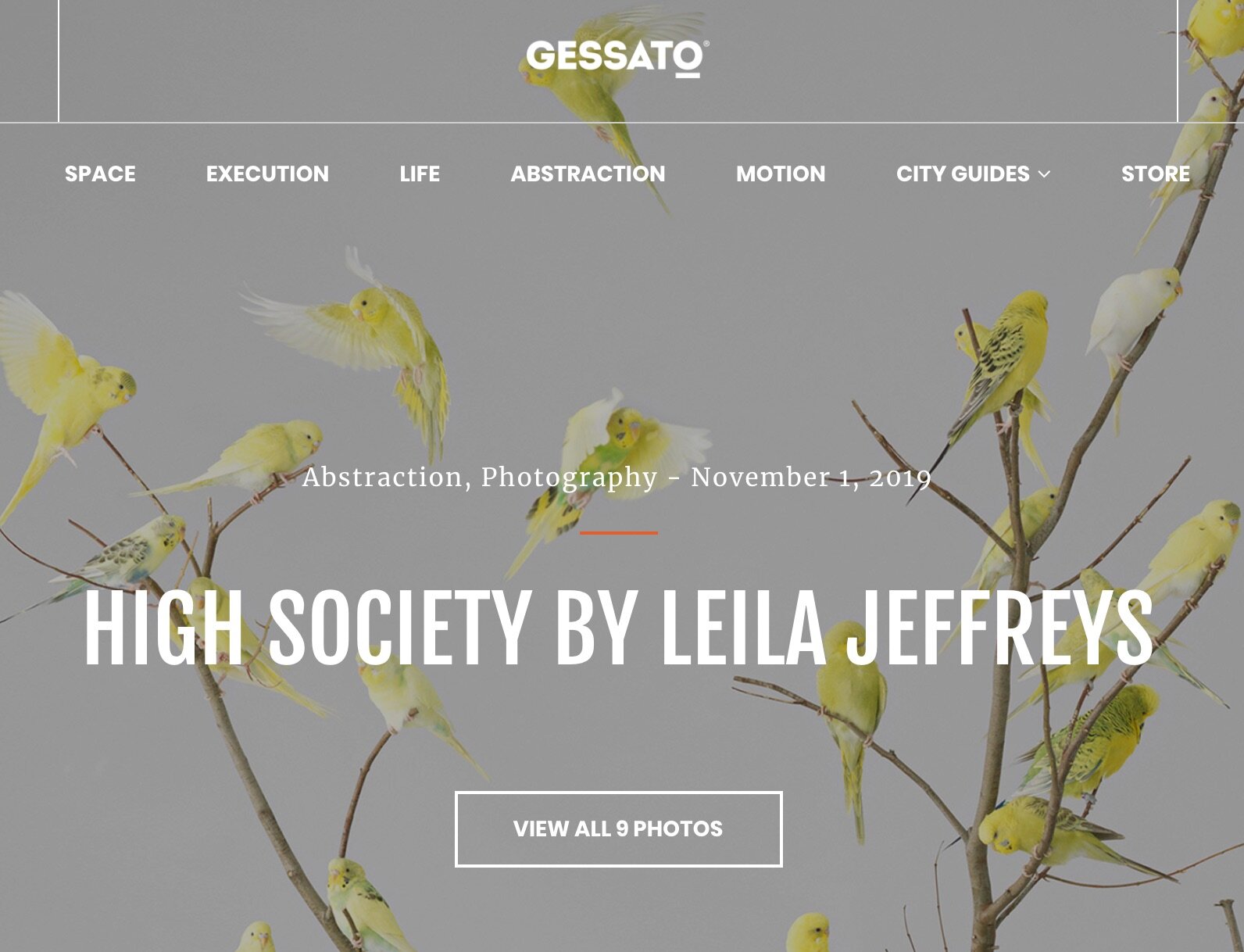 High Society by Leila Jeffreys
