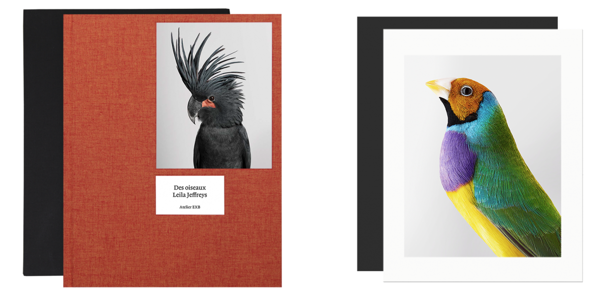 des-oiseaux-leila-jeffreys-edition-limitee.jpg.png
