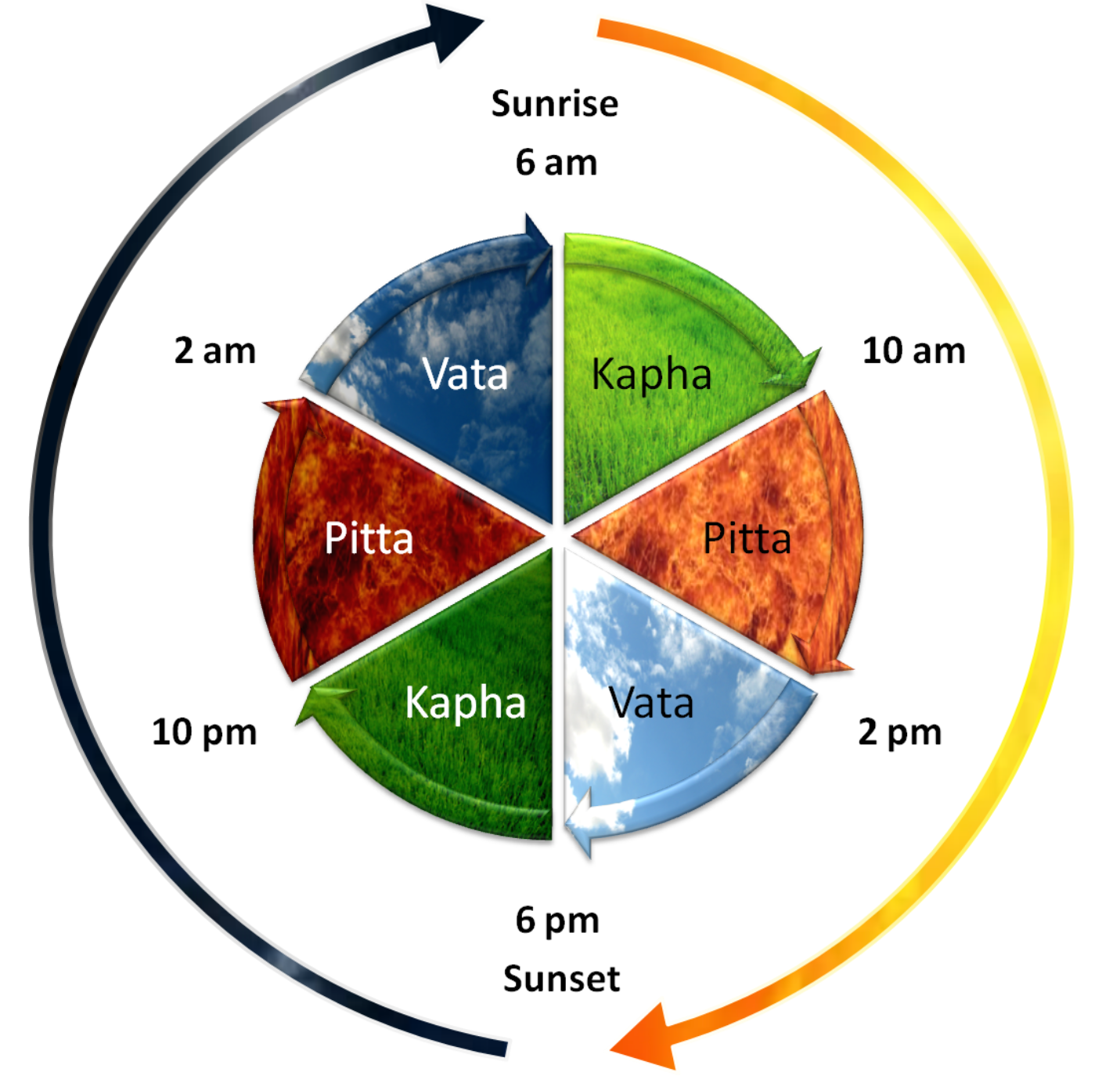 Three_Dosha_Daily_Cycle.png