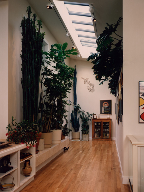Schnall - Interior Corridor 1.jpg