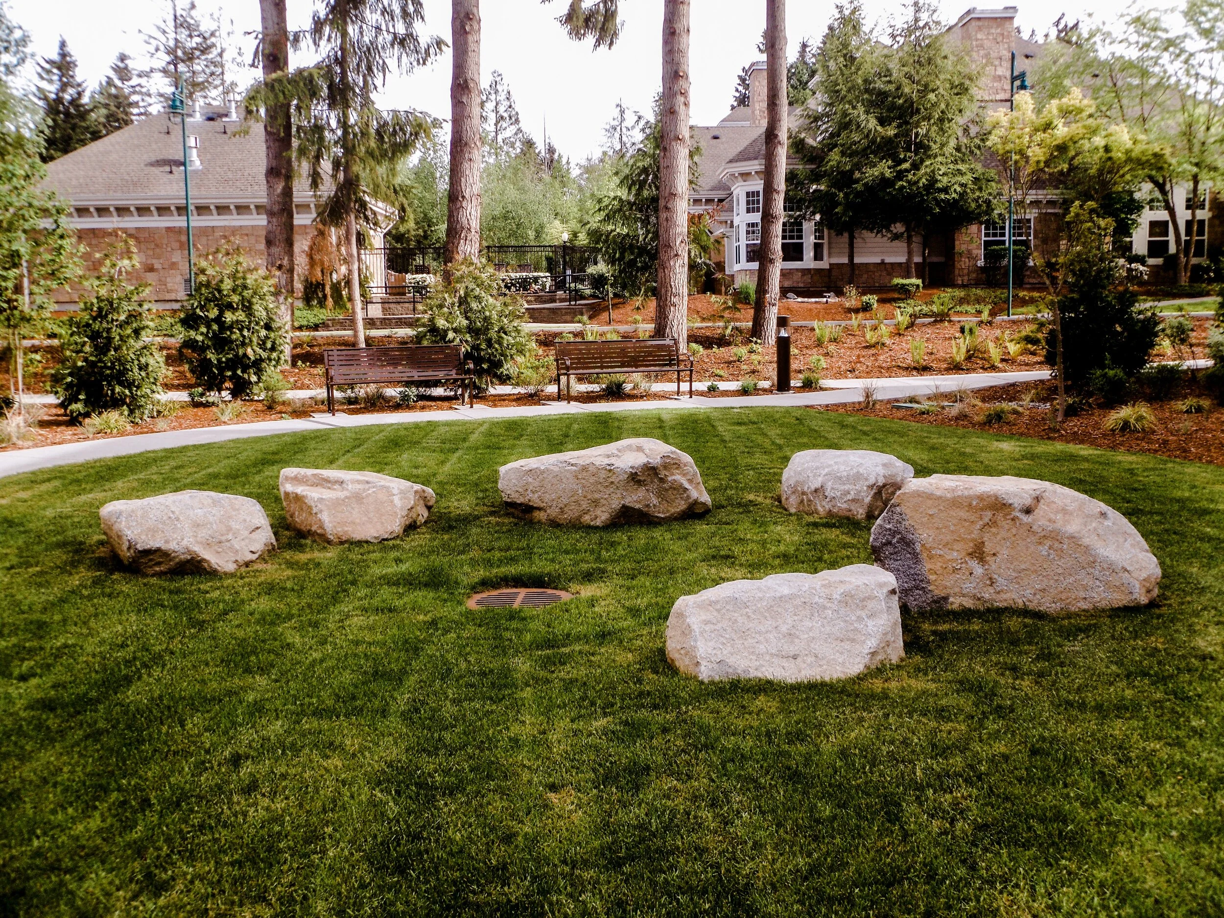 IMG-9660 (1).JPG