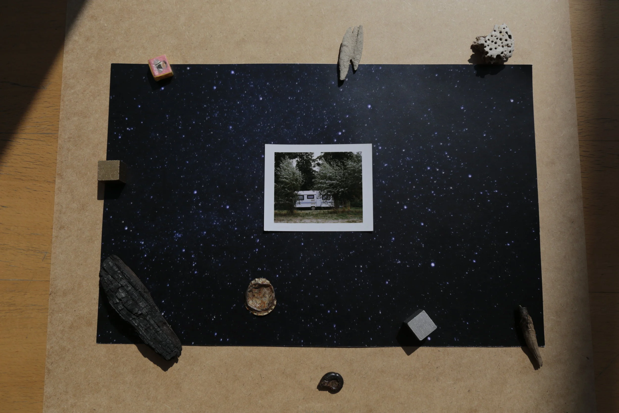   Towards the Sea , solo exhibition, installation detail, Art &amp; Science Gallery, Collegium Biologicum, UAM, Poznań, PL, 2017 