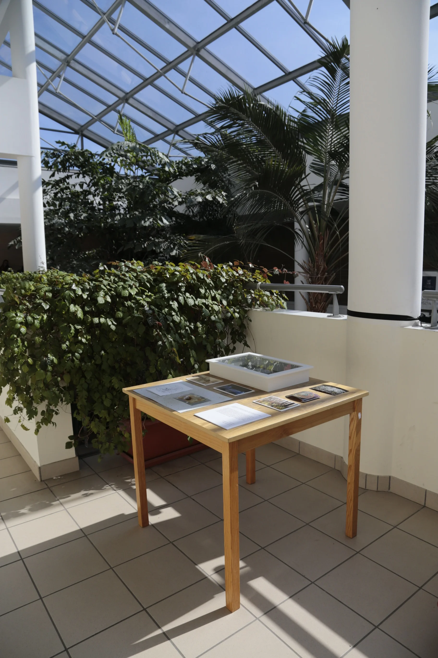   Towards the Sea ,&nbsp;installation detail, Art &amp; Science Gallery, Collegium Biologicum, UAM, Poznań, PL, 2017 