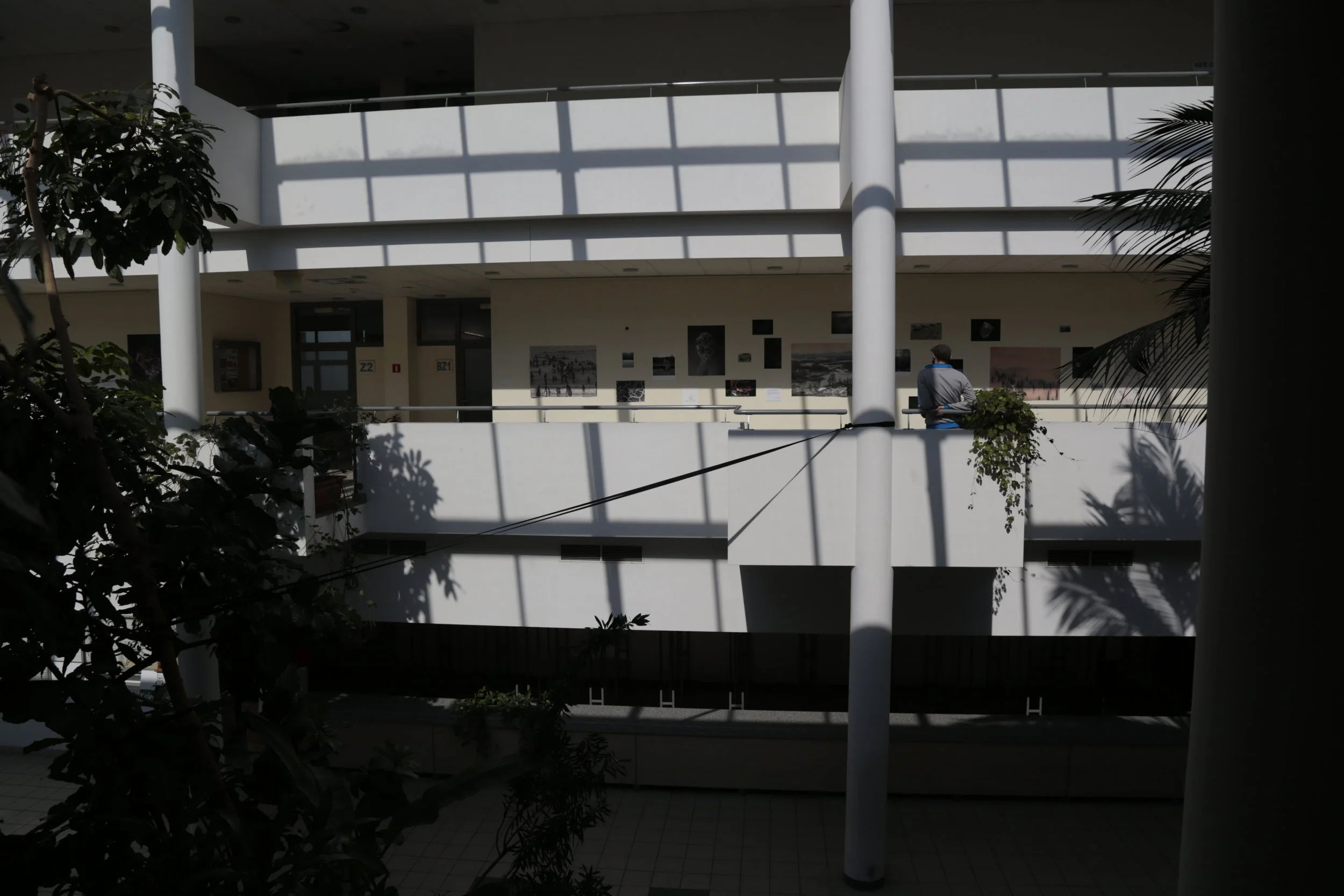   Towards the Sea , exhibition view, Art &amp; Science Gallery, Collegium Biologicum, UAM, Poznań, PL, 2017 