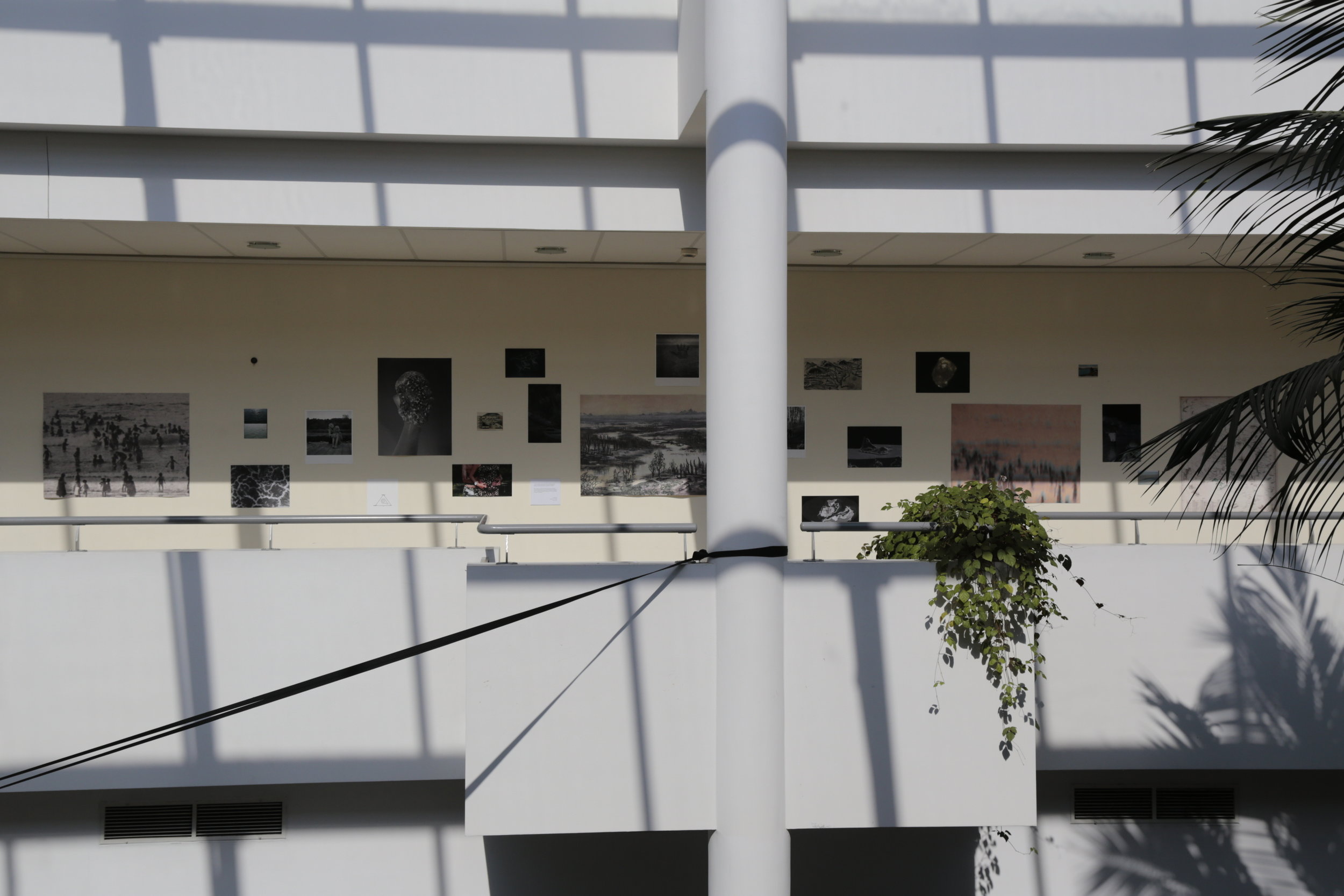   Towards the Sea , solo exhibition, installation detail, Art &amp; Science Gallery, Collegium Biologicum, UAM, Poznań, PL, 2017 