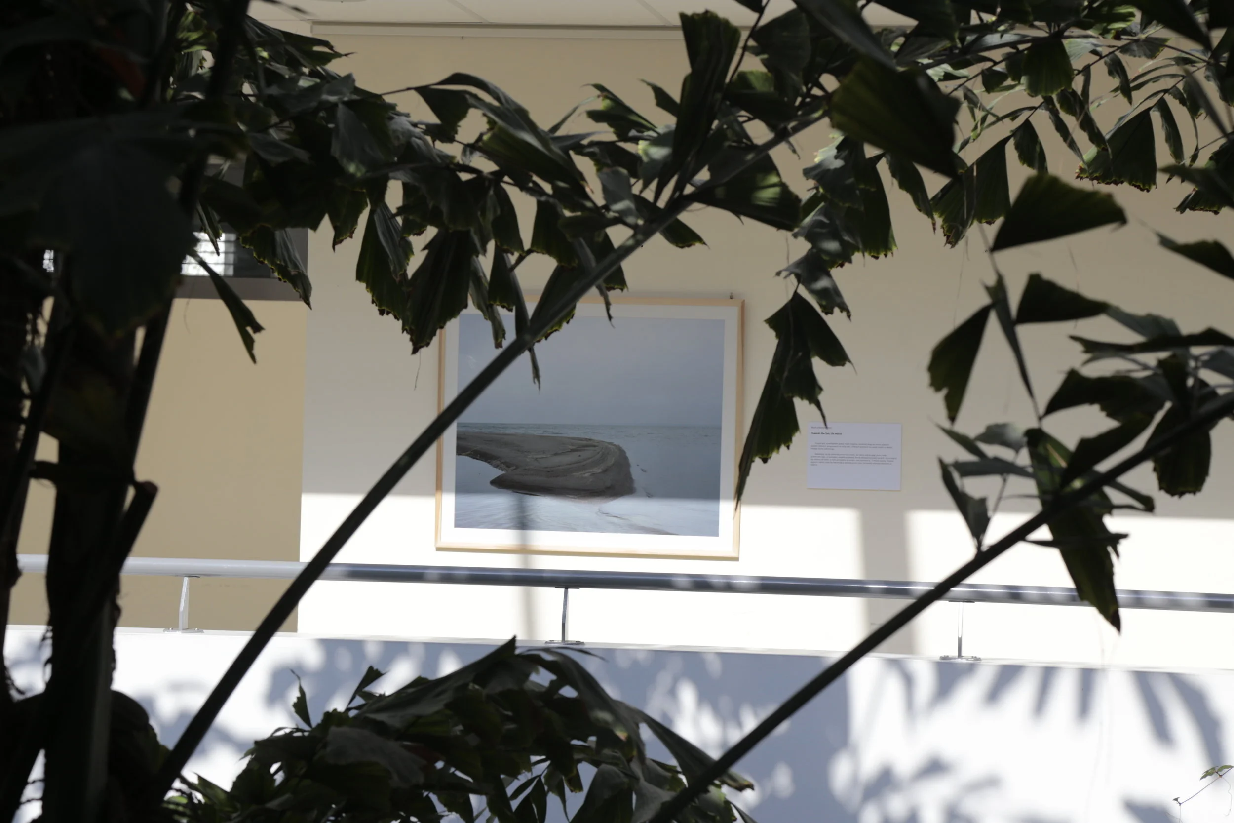   Towards the Sea ,&nbsp;installation detail, Art &amp; Science Gallery, Collegium Biologicum, UAM, Poznań, PL, 2017 