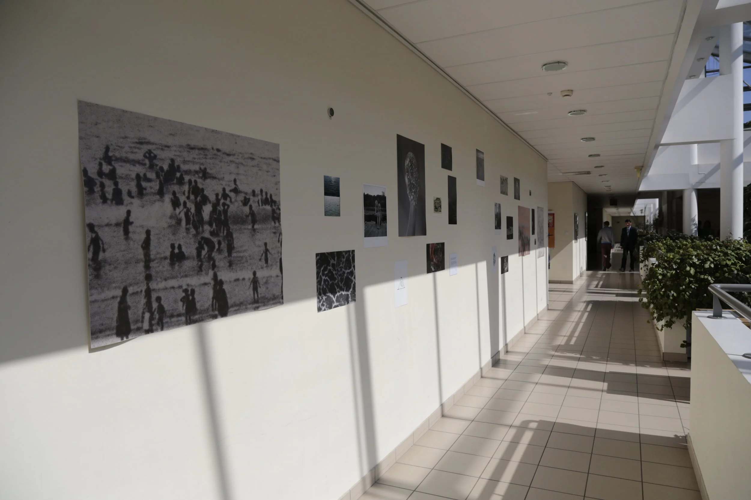   Towards the Sea ,&nbsp;installation detail, Art &amp; Science Gallery, Collegium Biologicum, UAM, Poznań, PL, 2017 