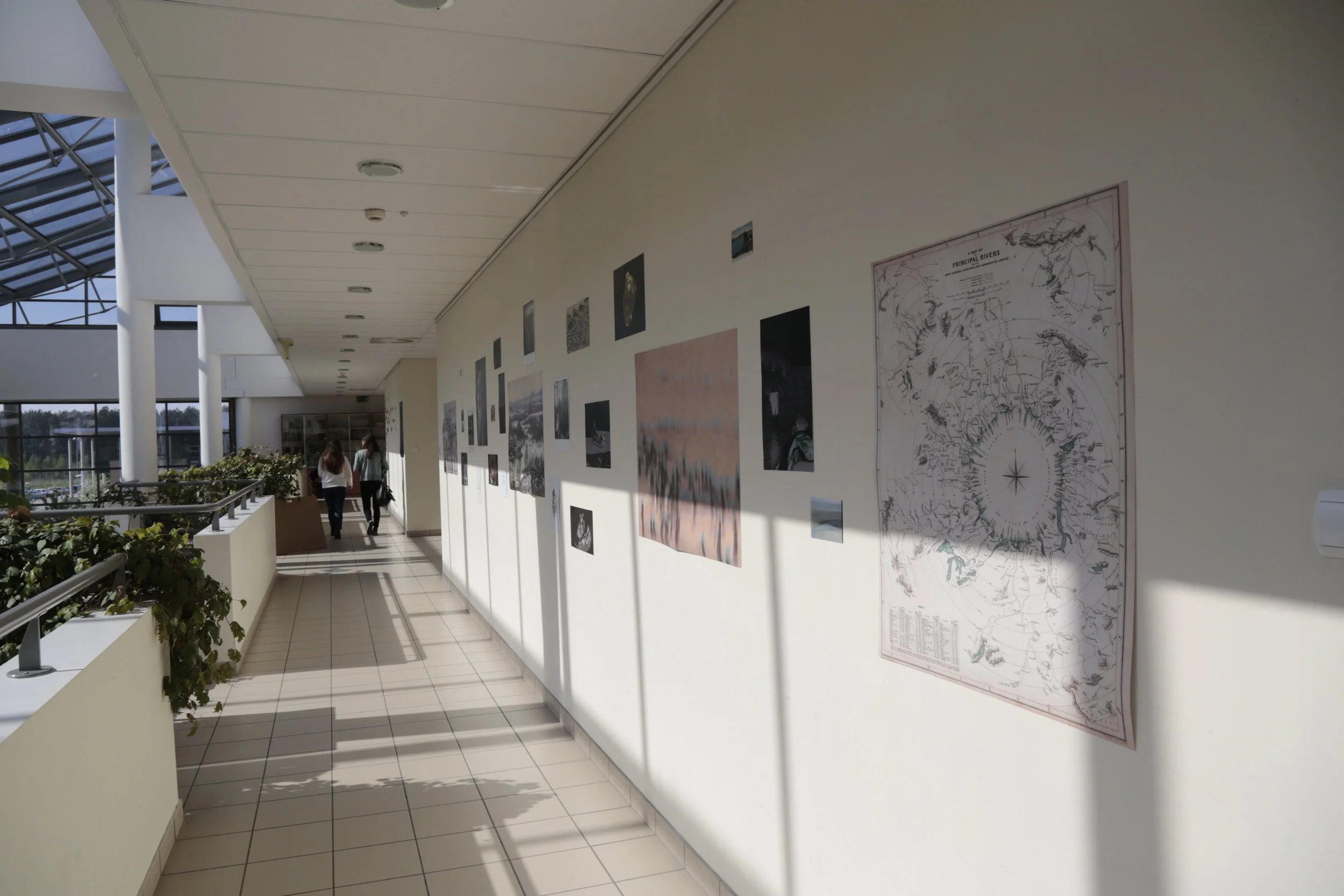   Towards the Sea ,&nbsp;installation detail, Art &amp; Science Gallery, Collegium Biologicum, UAM, Poznań, PL, 2017 