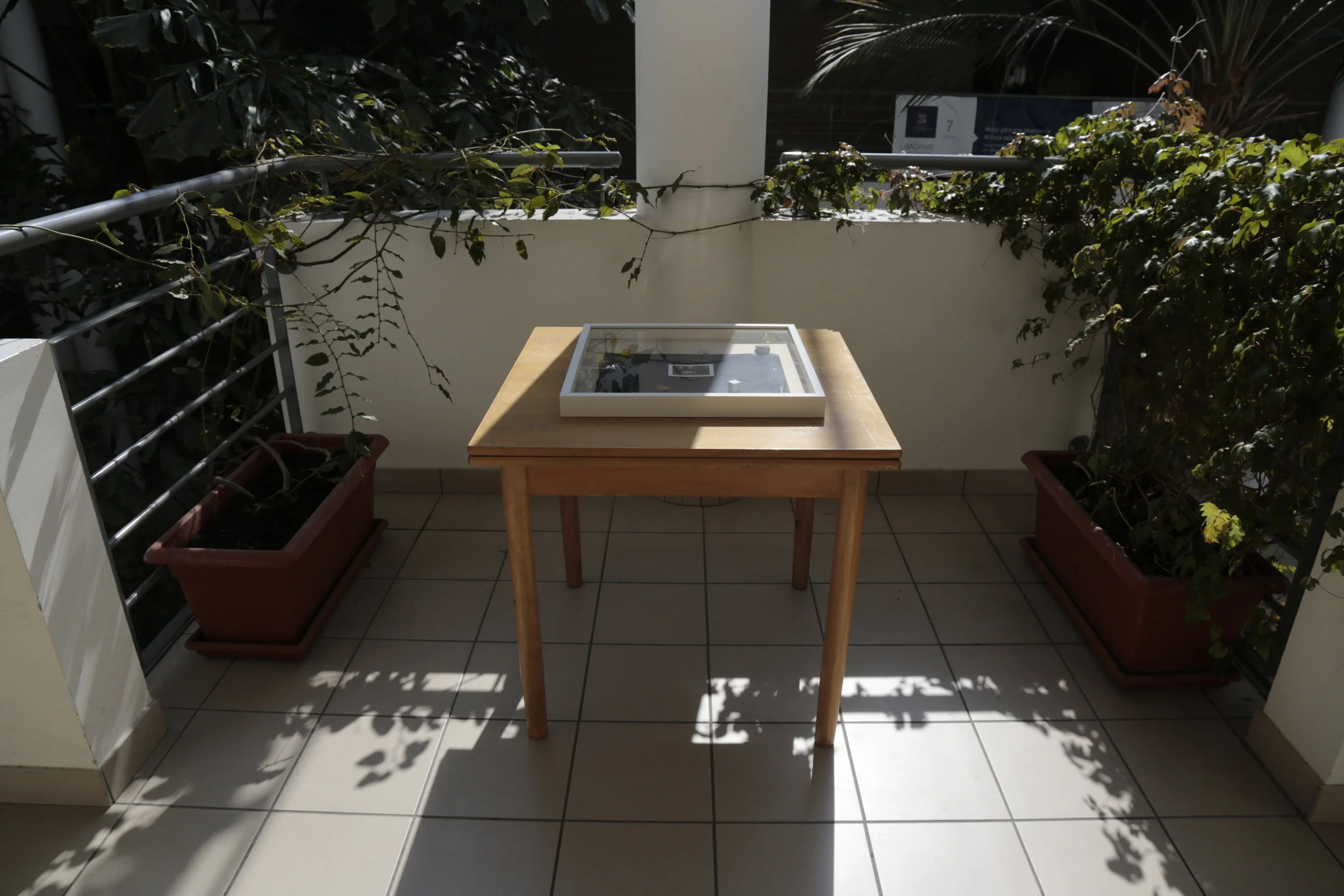   Towards the Sea ,&nbsp;installation detail, Art &amp; Science Gallery, Collegium Biologicum, UAM, Poznań, PL, 2017 