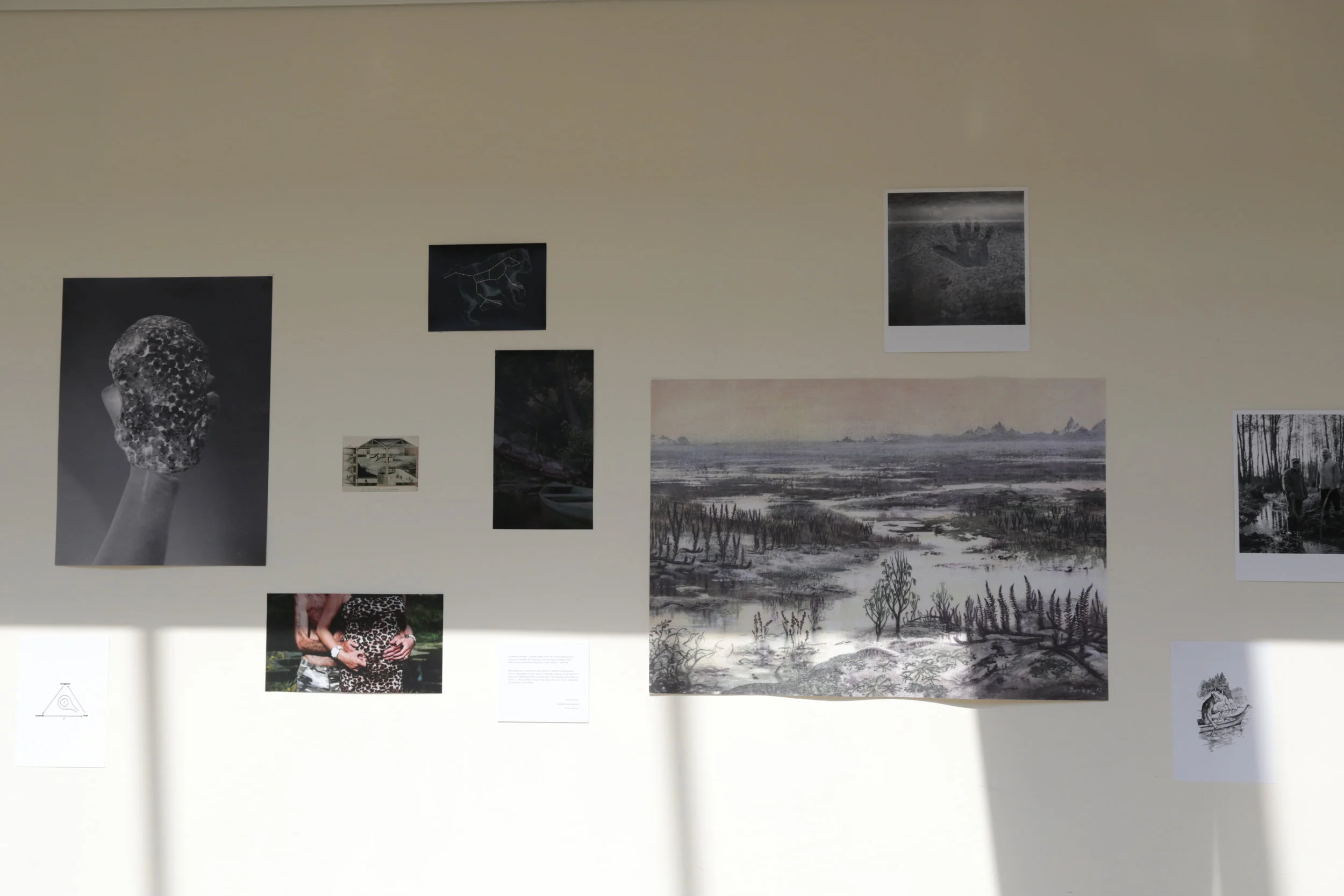   Towards the Sea ,&nbsp;installation detail, Art &amp; Science Gallery, Collegium Biologicum, UAM, Poznań, PL, 2017 