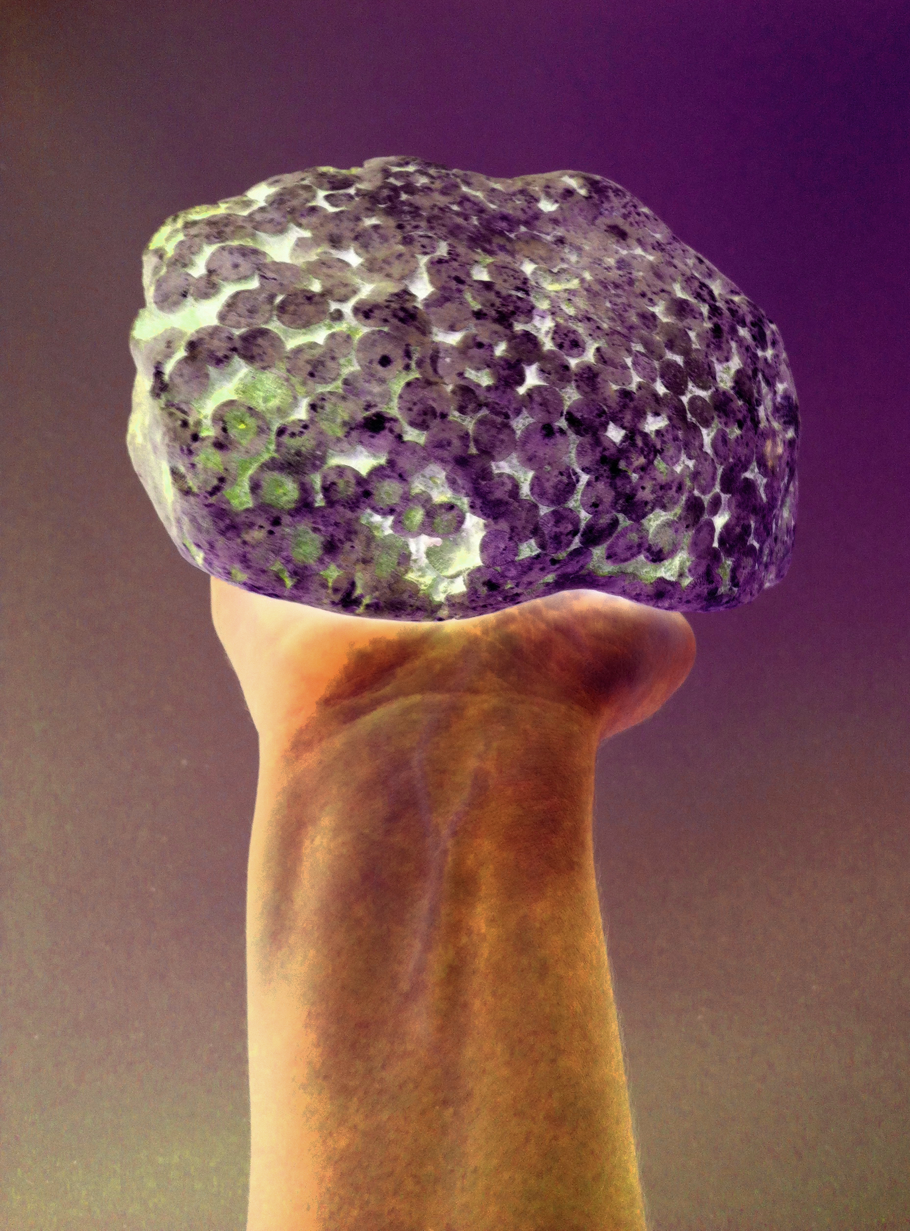 5_Symbiotic Real Selfie__6115.jpg