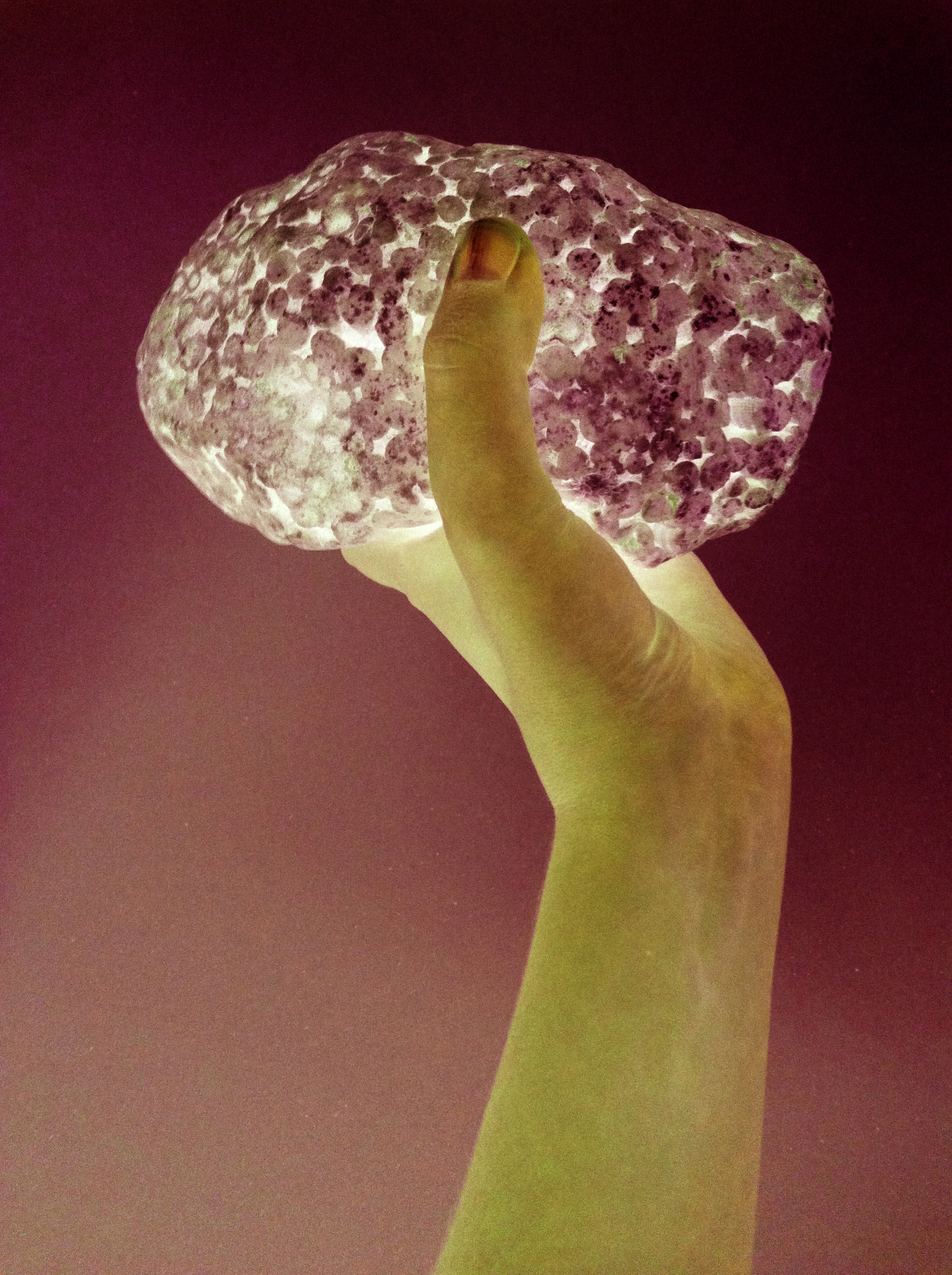 9_Symbiotic Real Selfie_6104_a.jpg