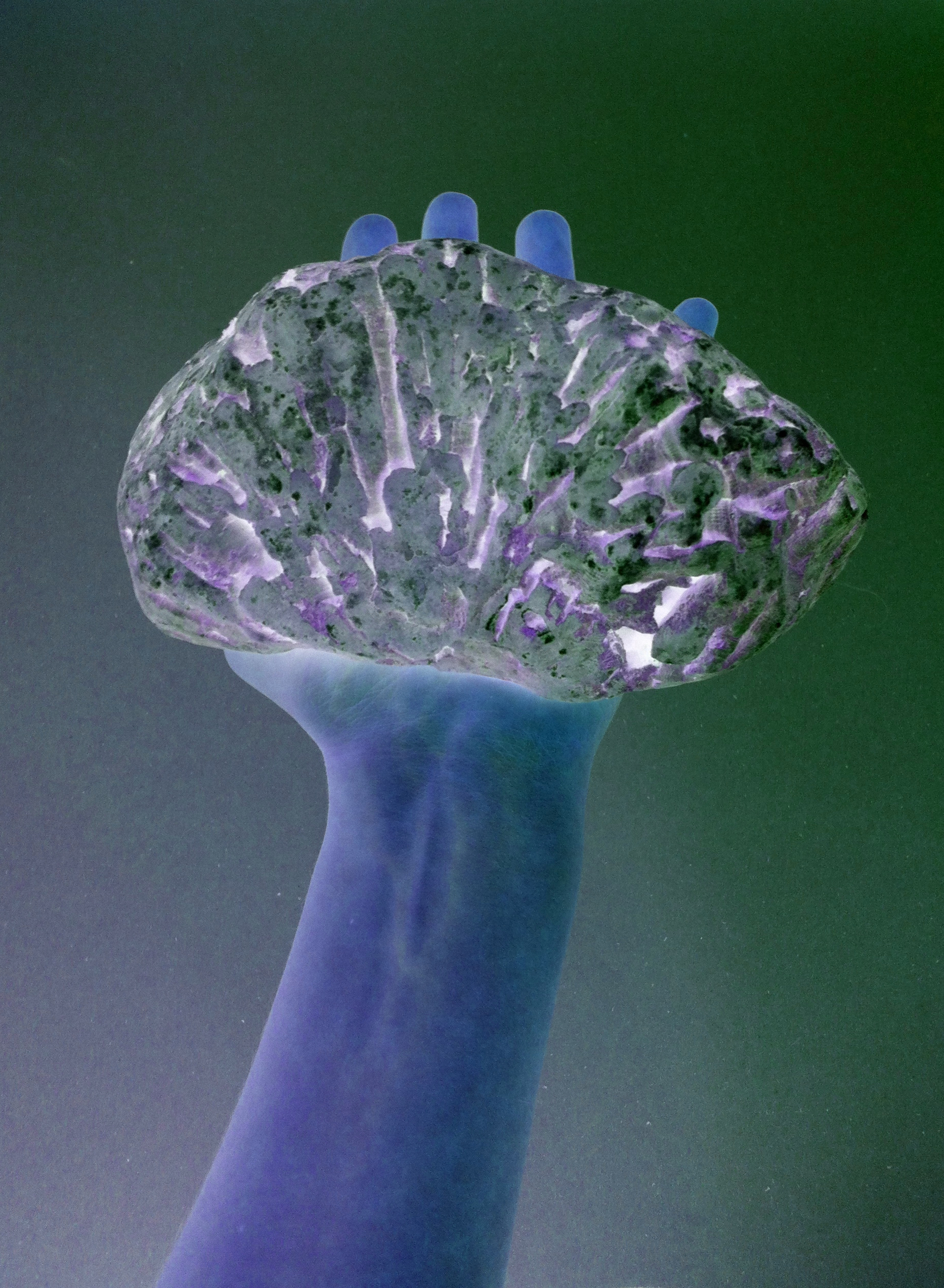 10_Symbiotic Real Selfie_6114_b.jpg