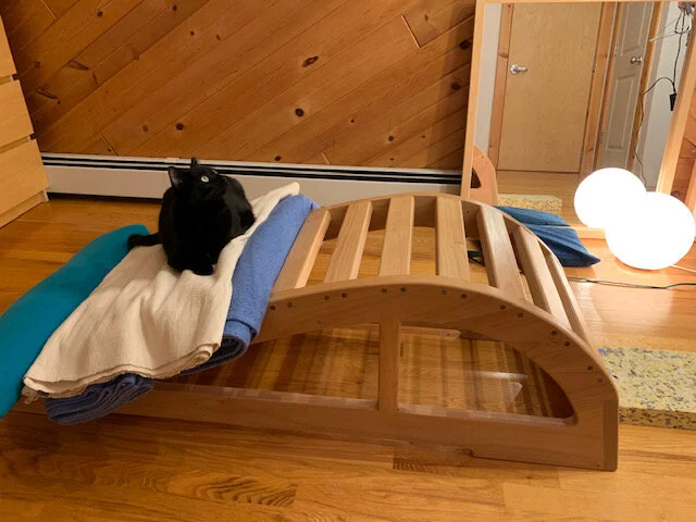 B124E77D-D39B-4CB6-A5EA-B9CEC7496804