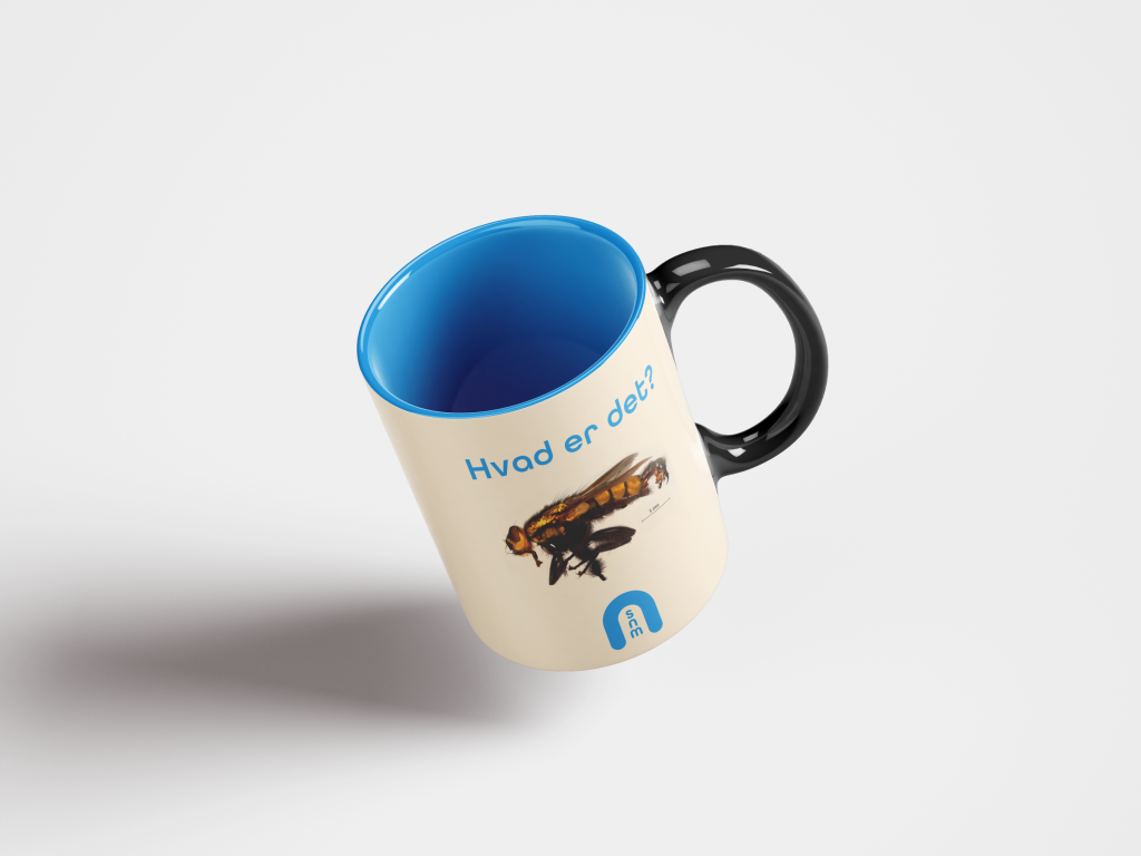 bug-mug.png
