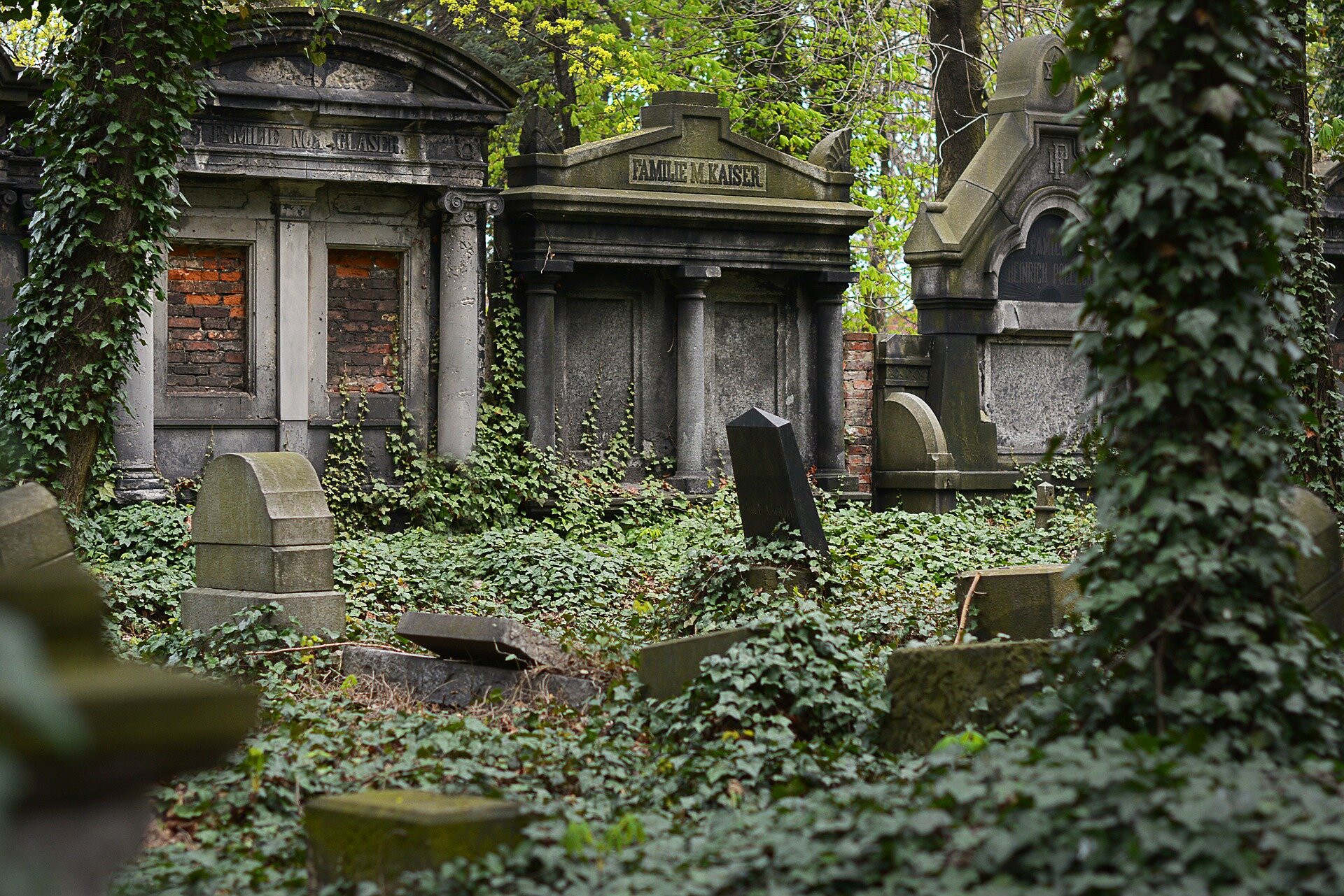 cemetery-2456173_1920.jpg