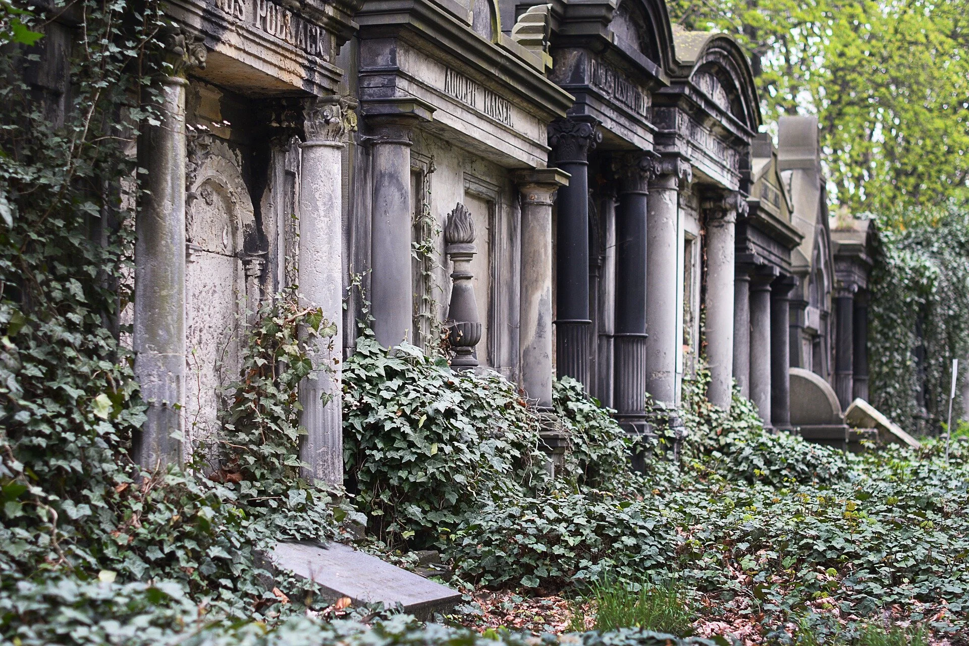 cemetery-2456167_1920.jpg