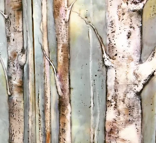 Birch Trees.jpg