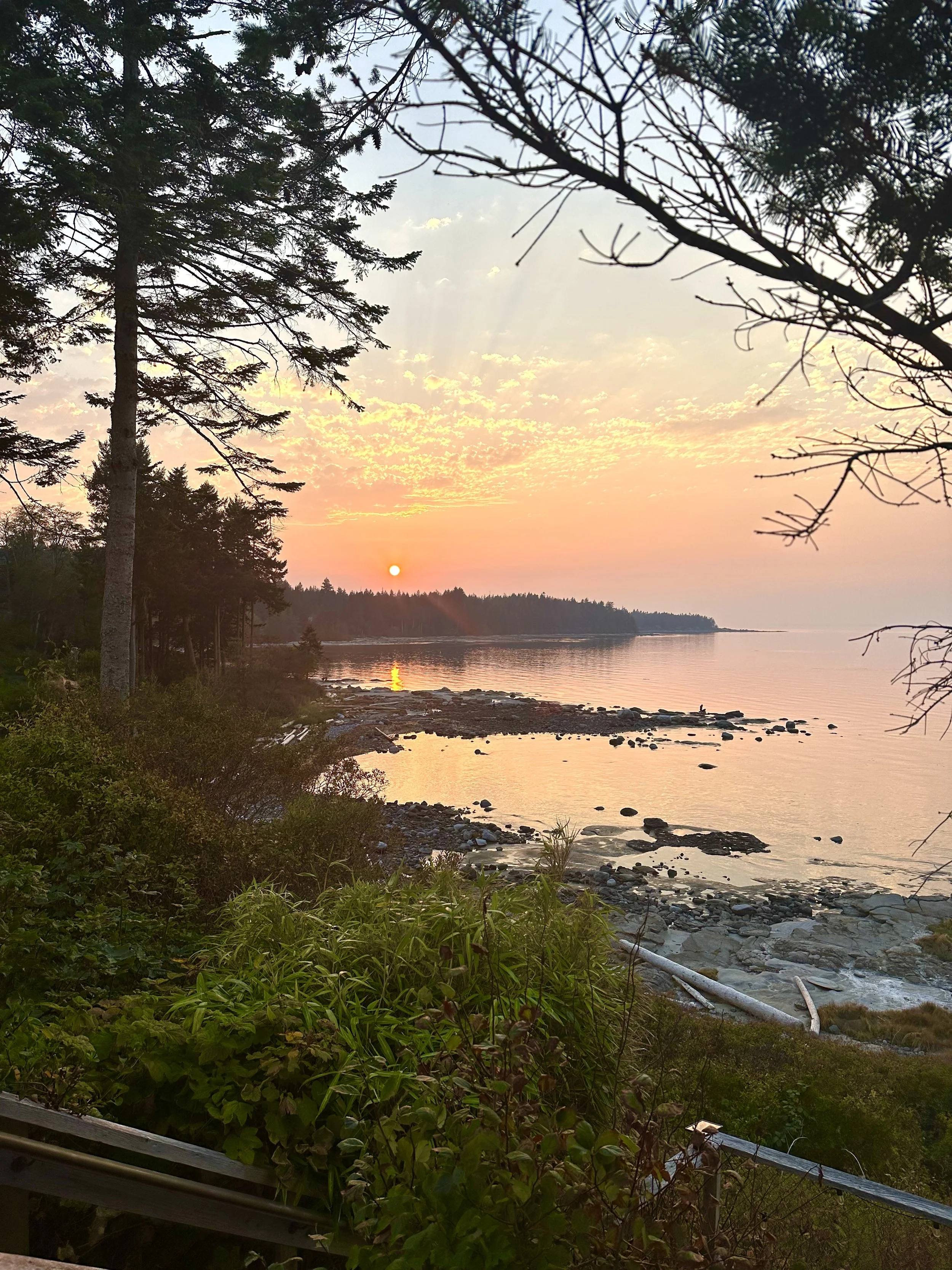 Natural Impressions 4 day Encaustic Workshop with Jodi Reeb & Megan