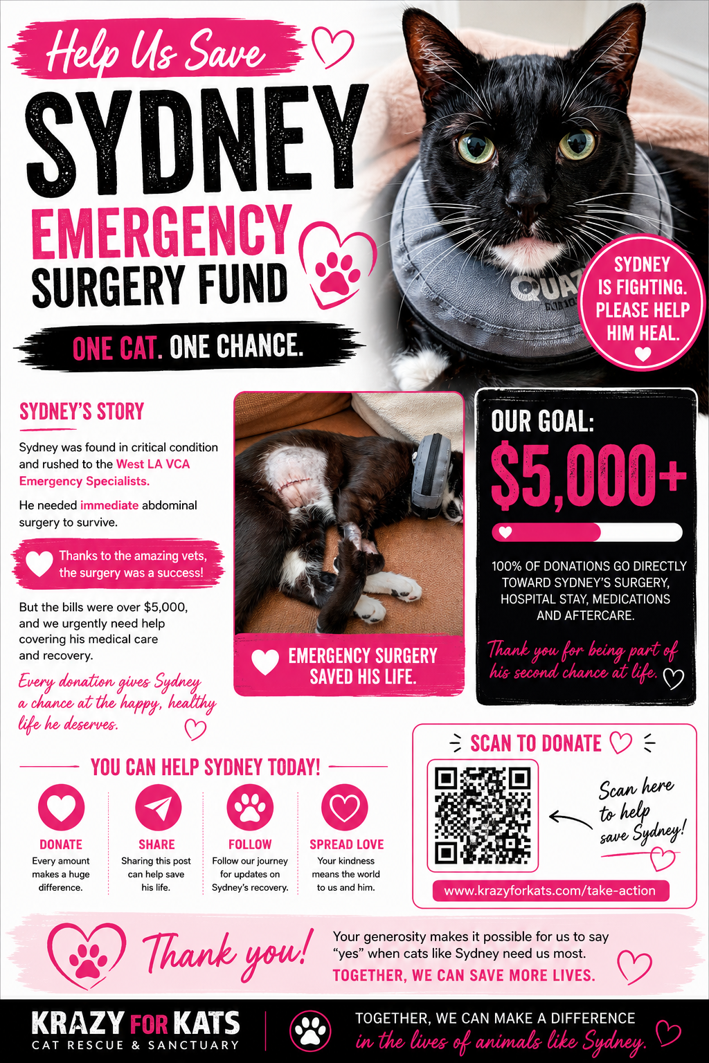 Sydney Emergency Fund